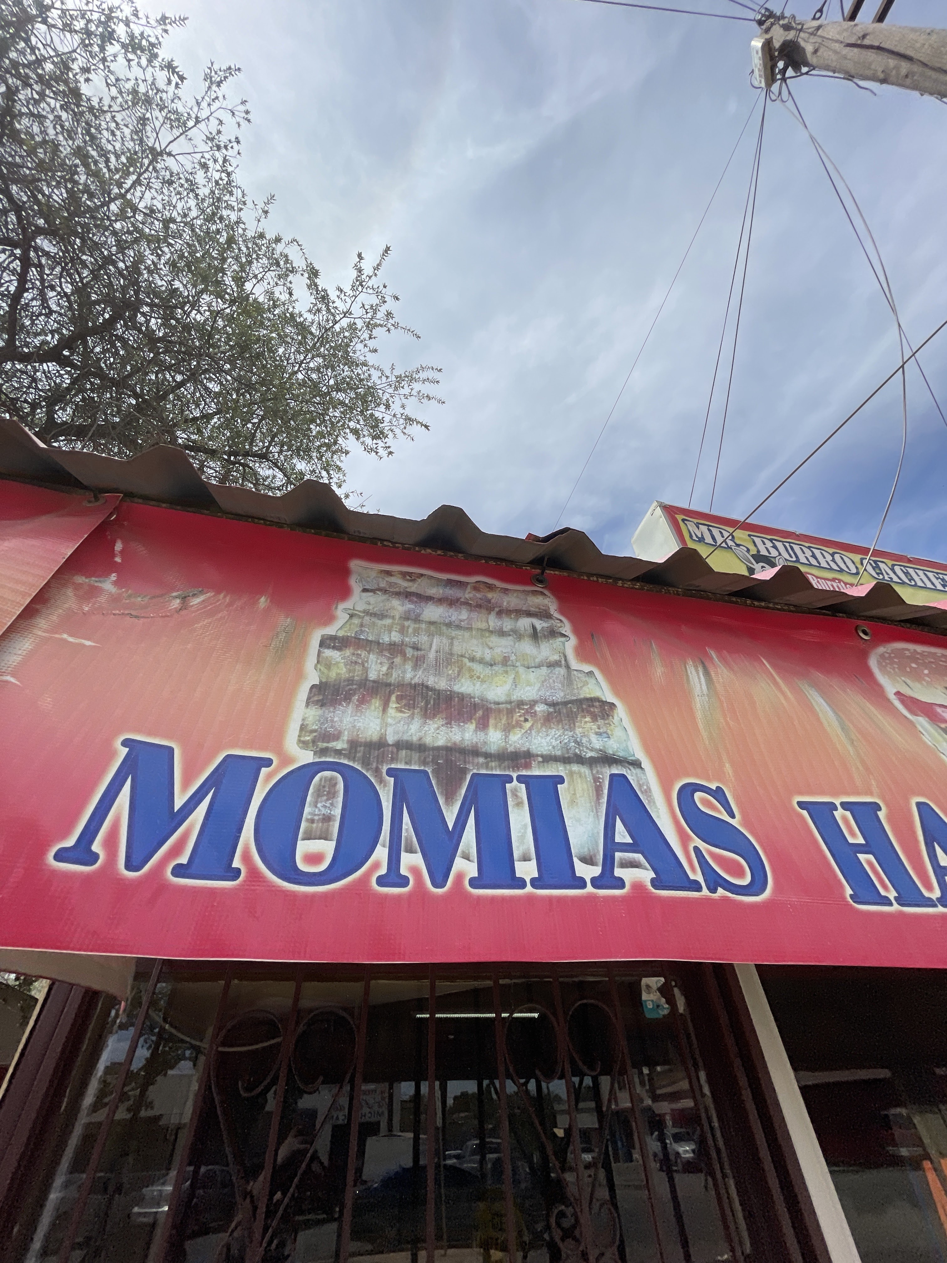 MR BURRO CACHETEADO image 2