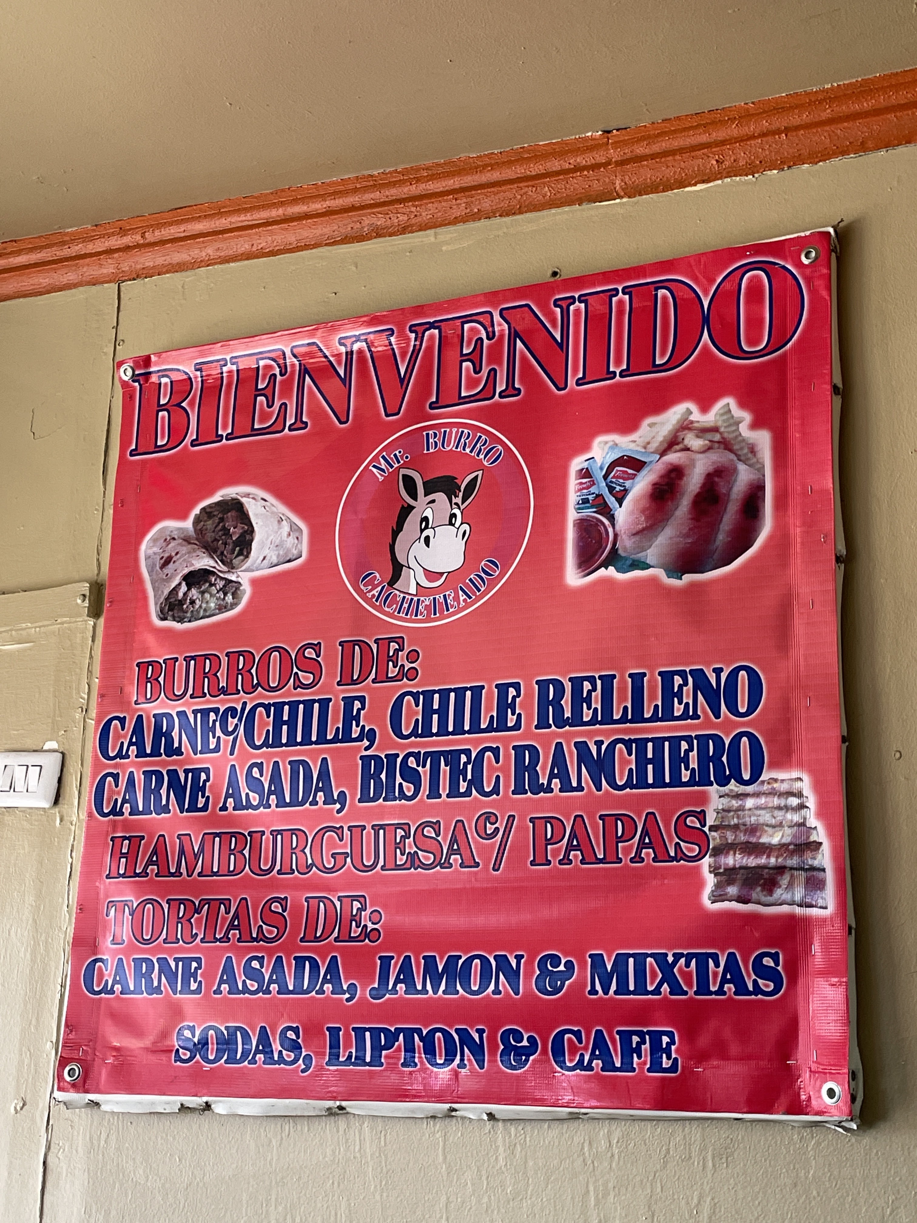 MR BURRO CACHETEADO image 3