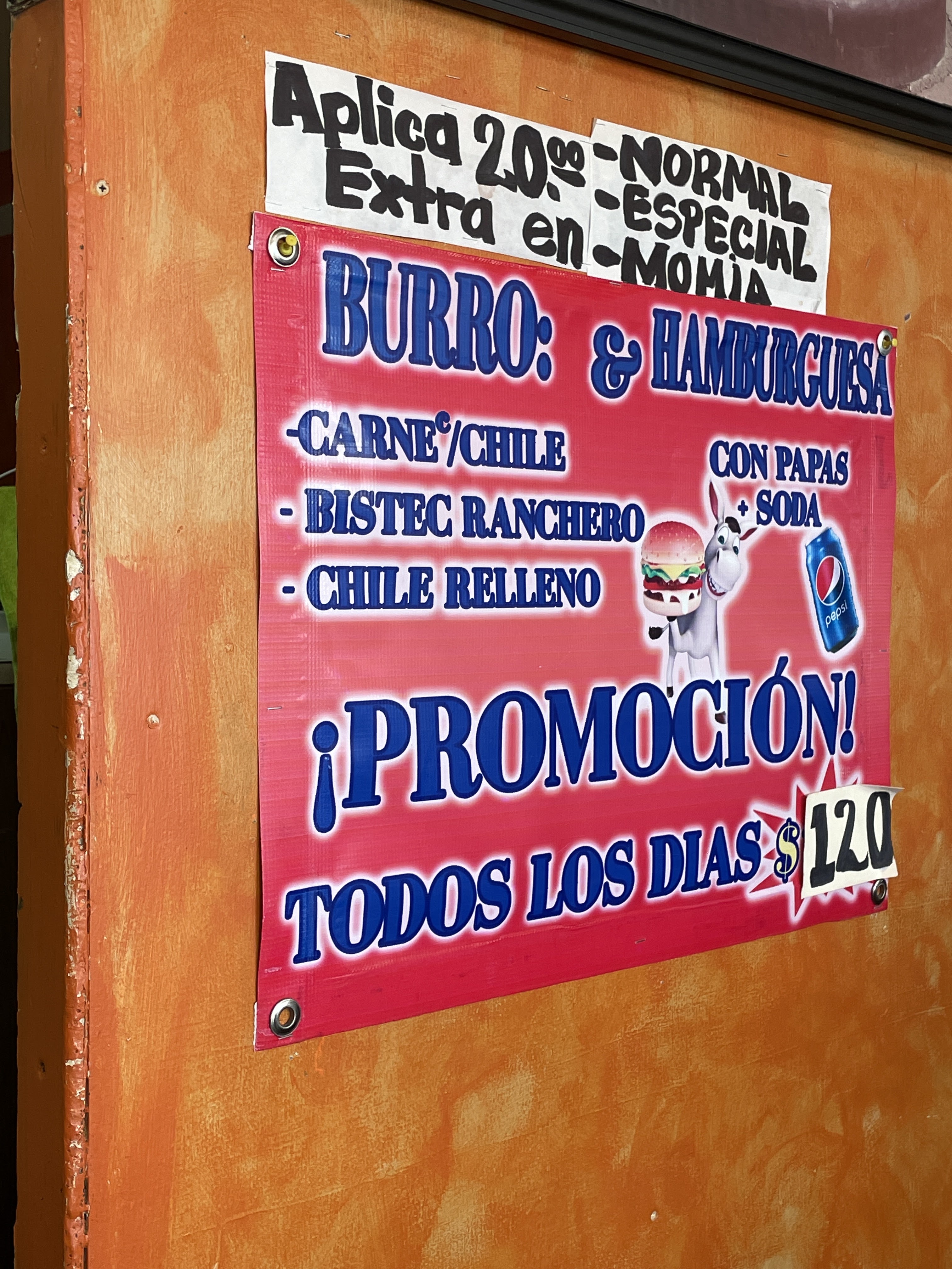 MR BURRO CACHETEADO image 5