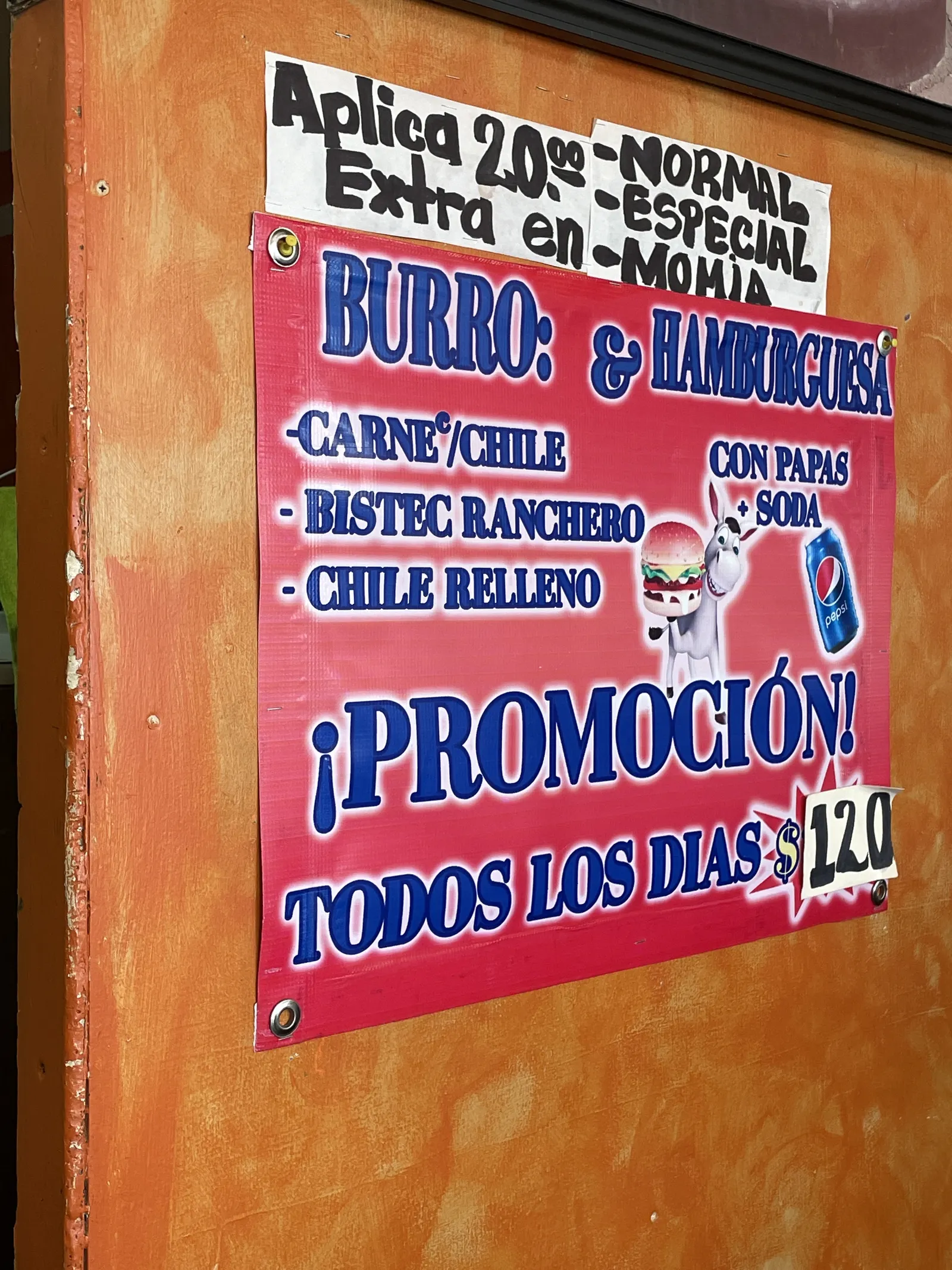 MR BURRO CACHETEADO image 5