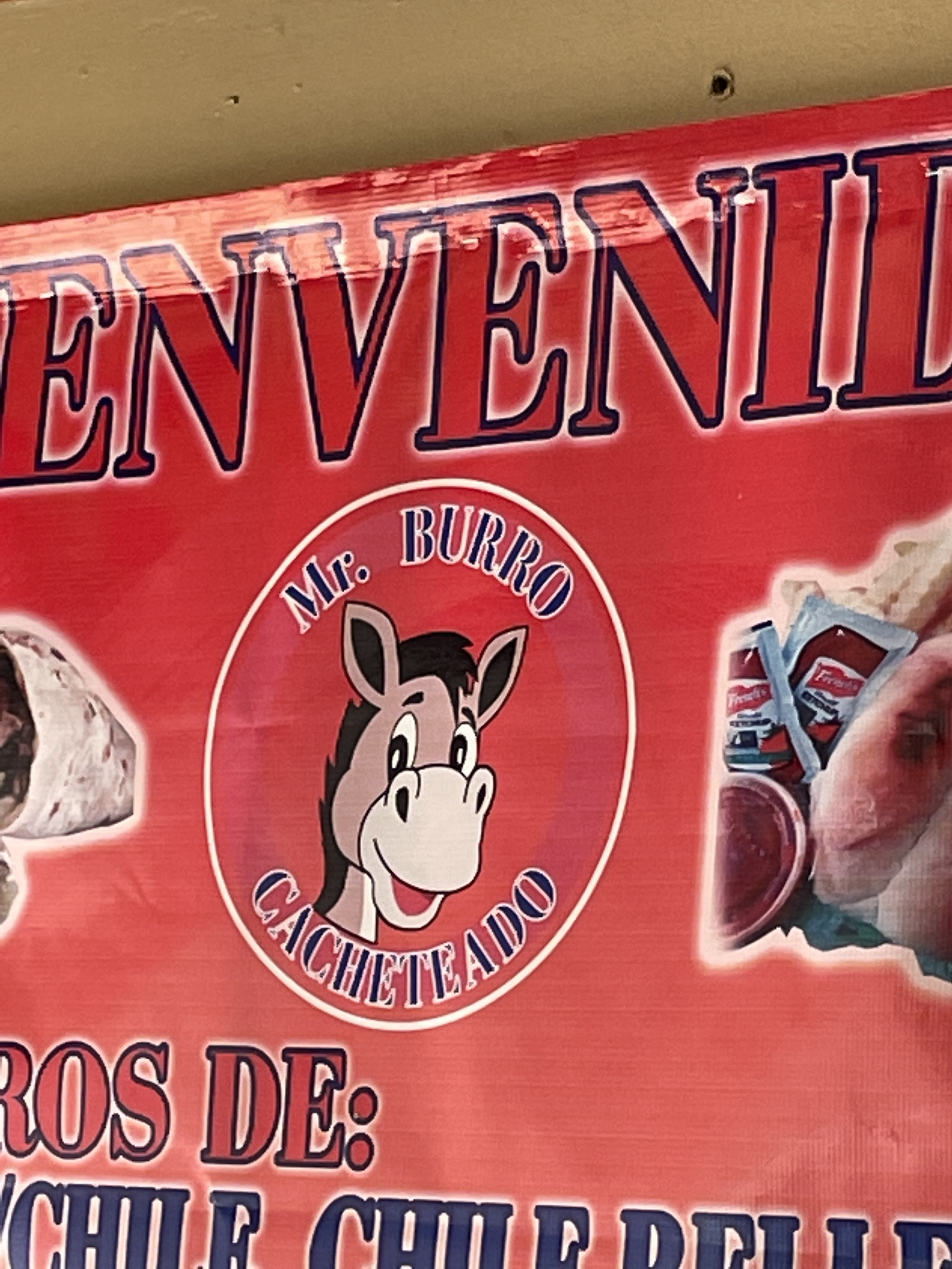 MR BURRO CACHETEADO image 8