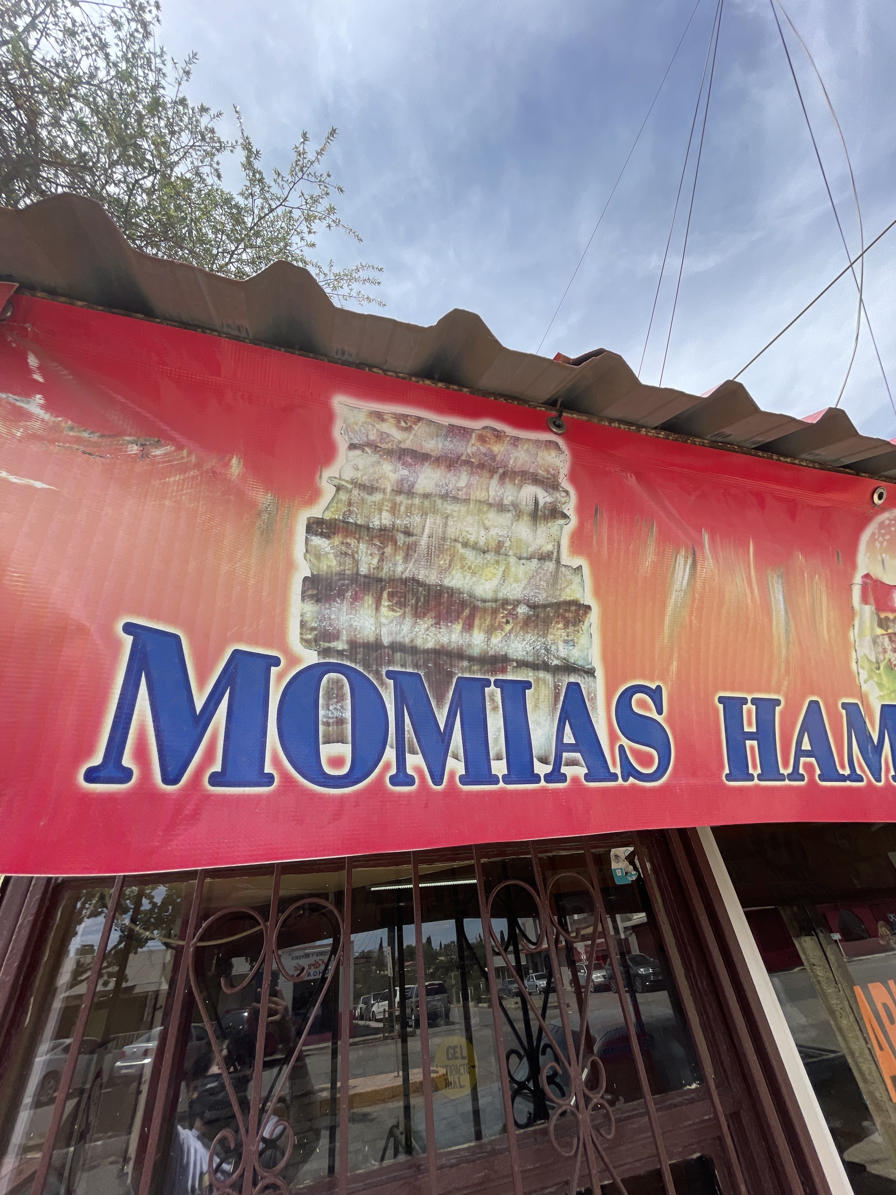 MR BURRO CACHETEADO image 9