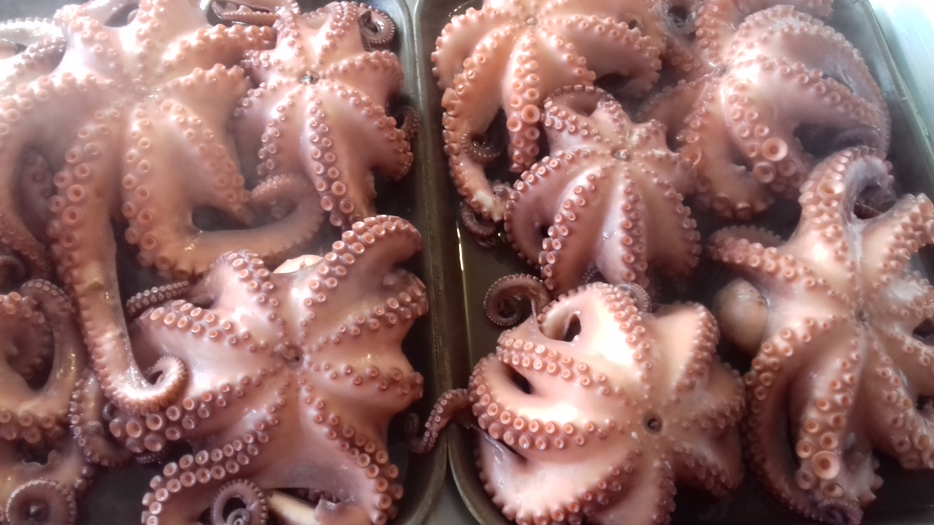 Mariscos El Pescador image 6