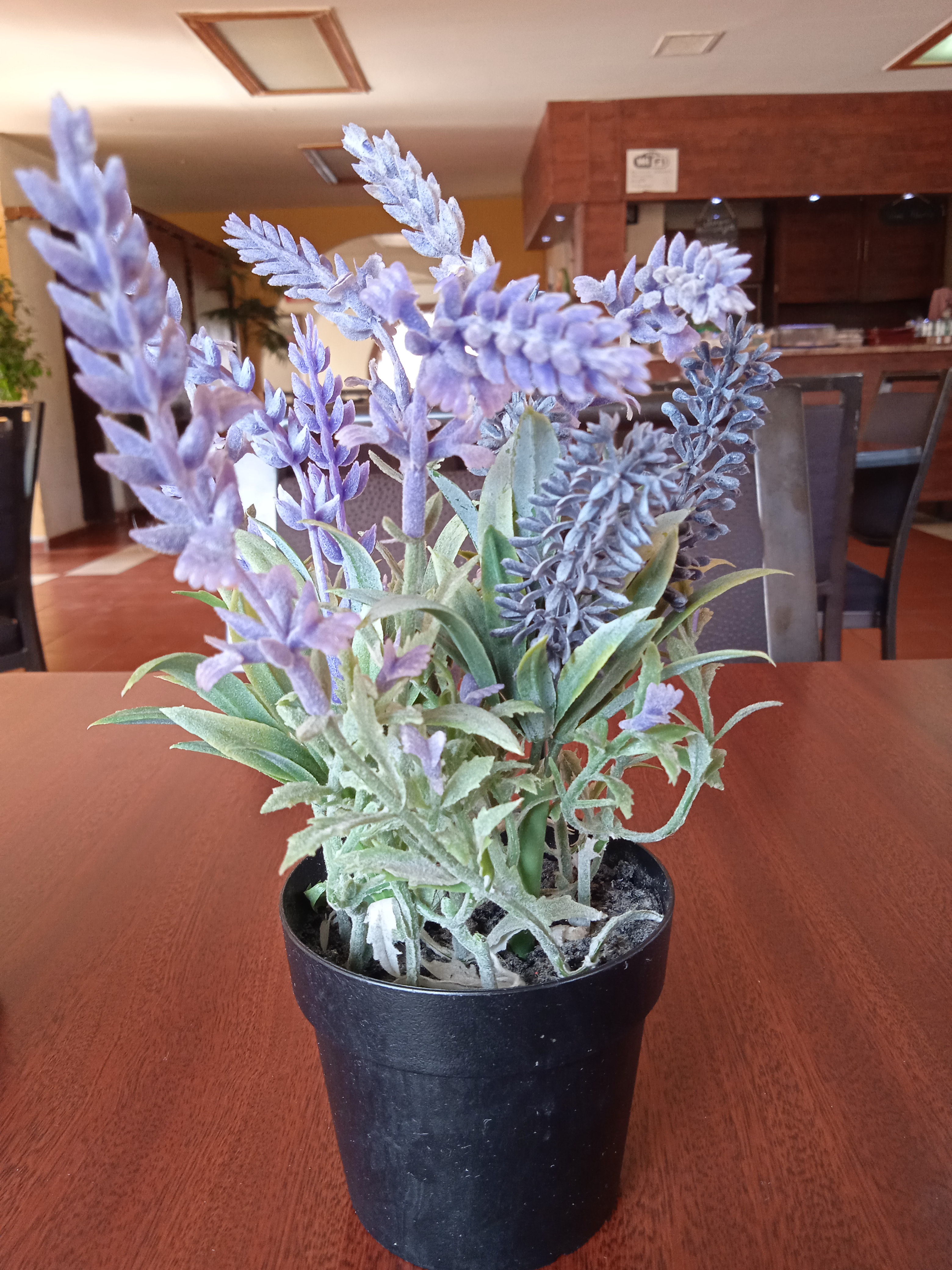 Restaurante El Meson image 6