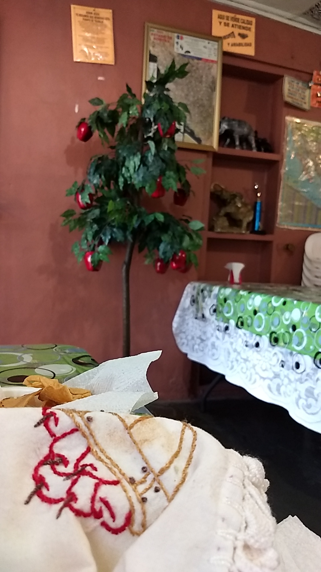 Restaurante Paola image 5