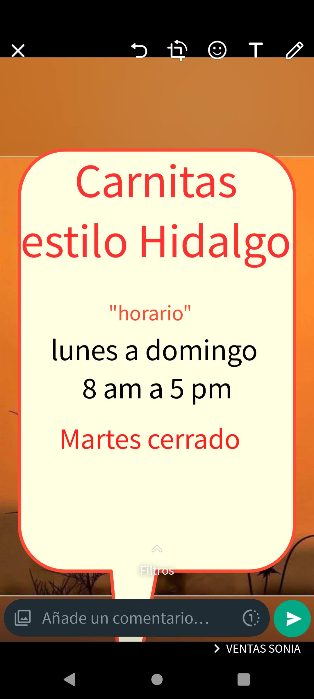 Carnitas Estilo Hidalgo 2 image 6