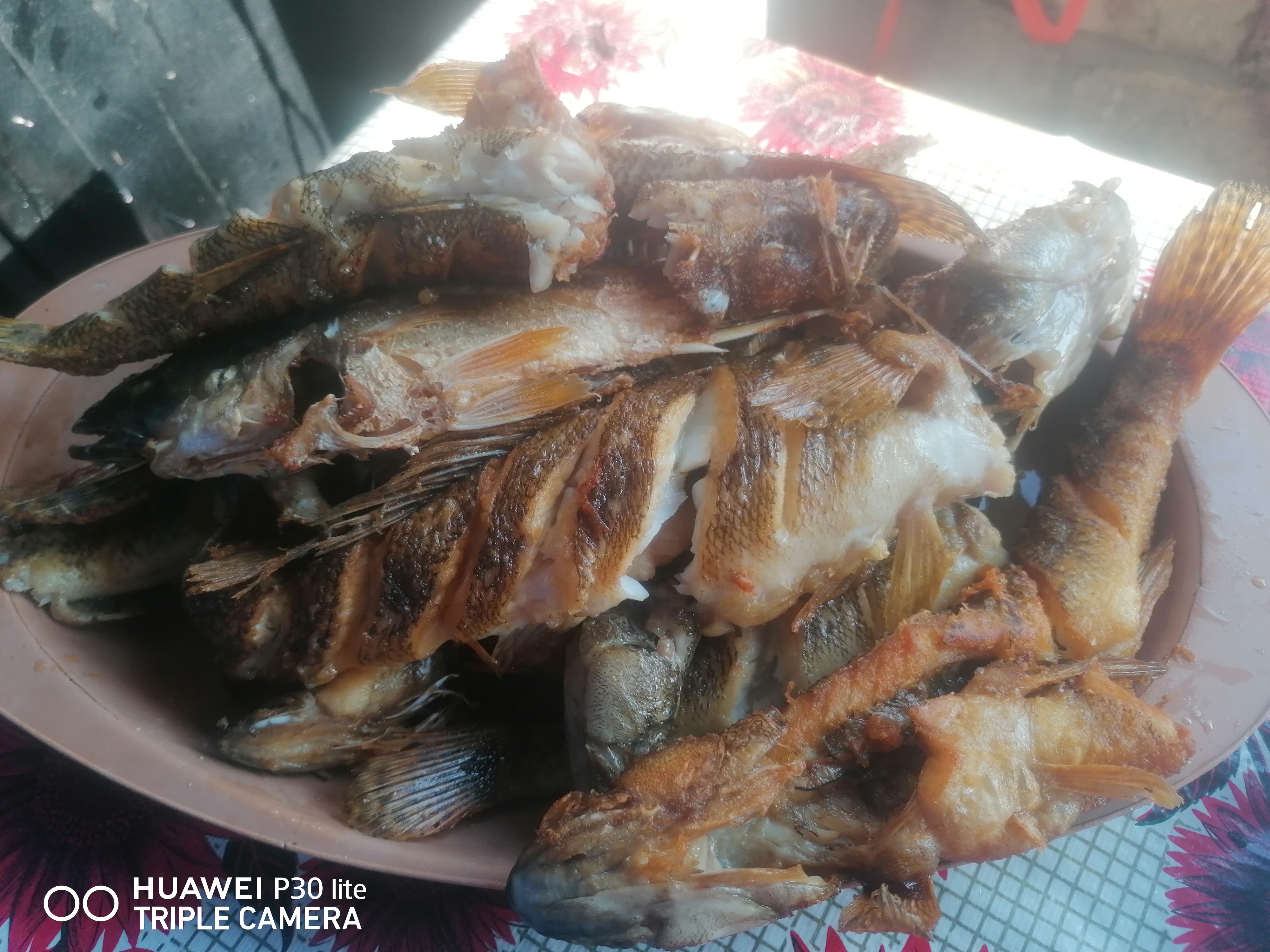 BreakFast Alvez image 4