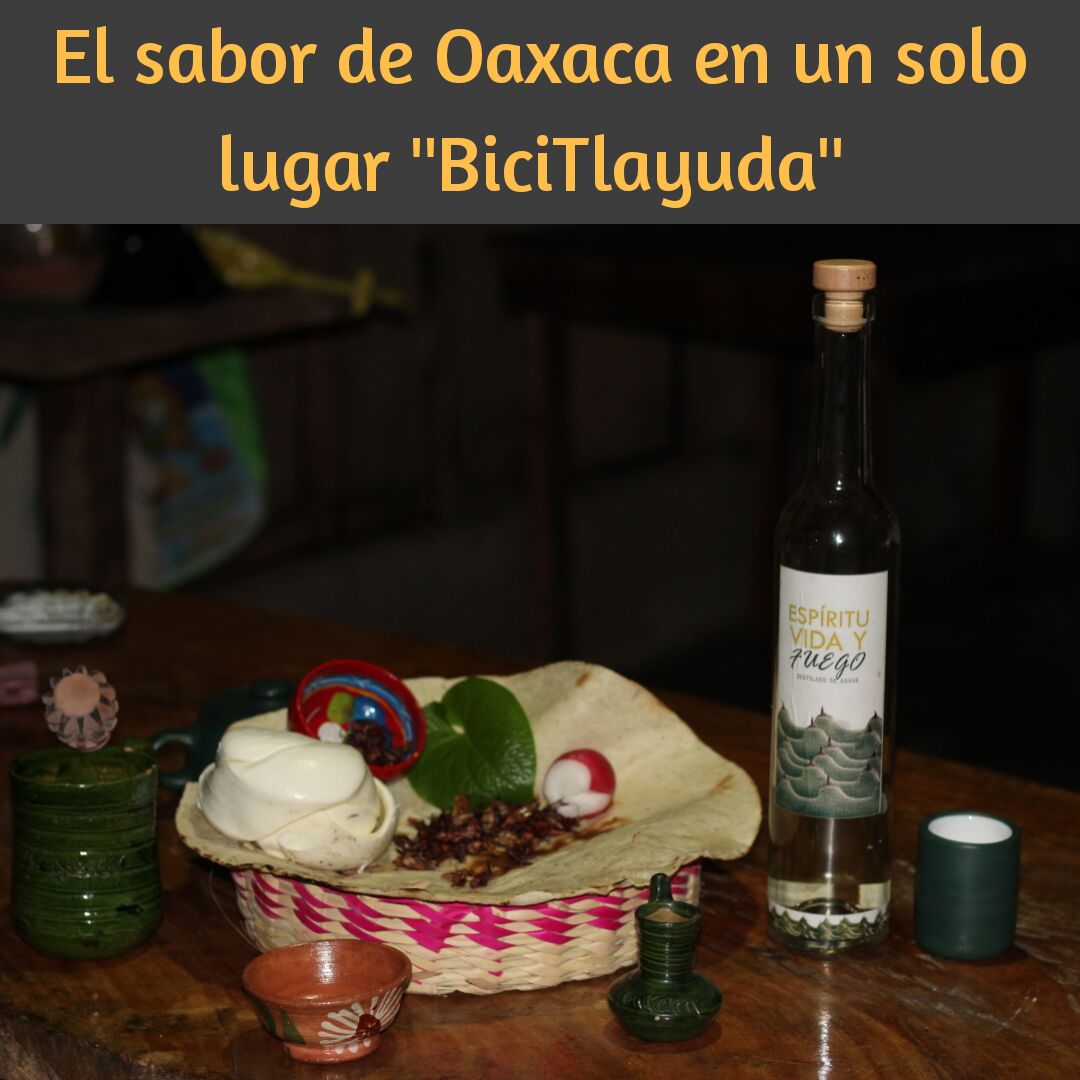BICI TLAYUDA image 10