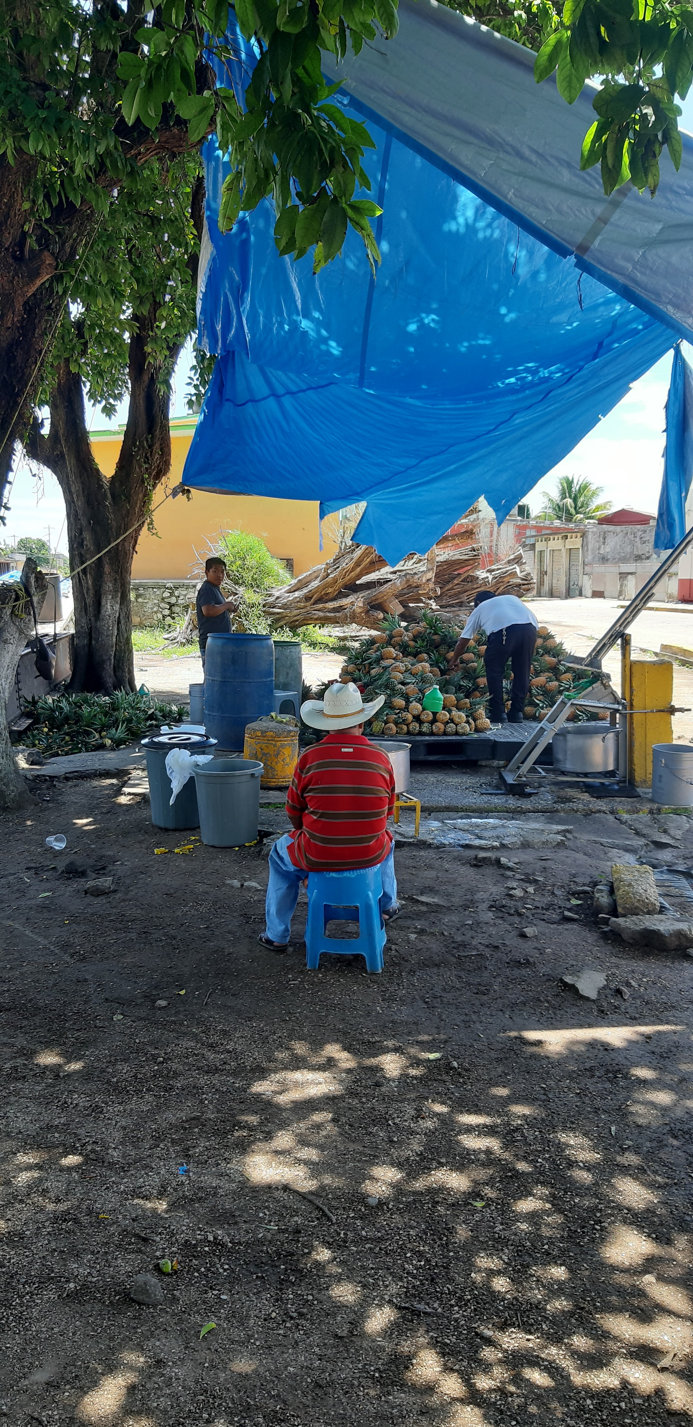 Jugueria Don Pancho image 6