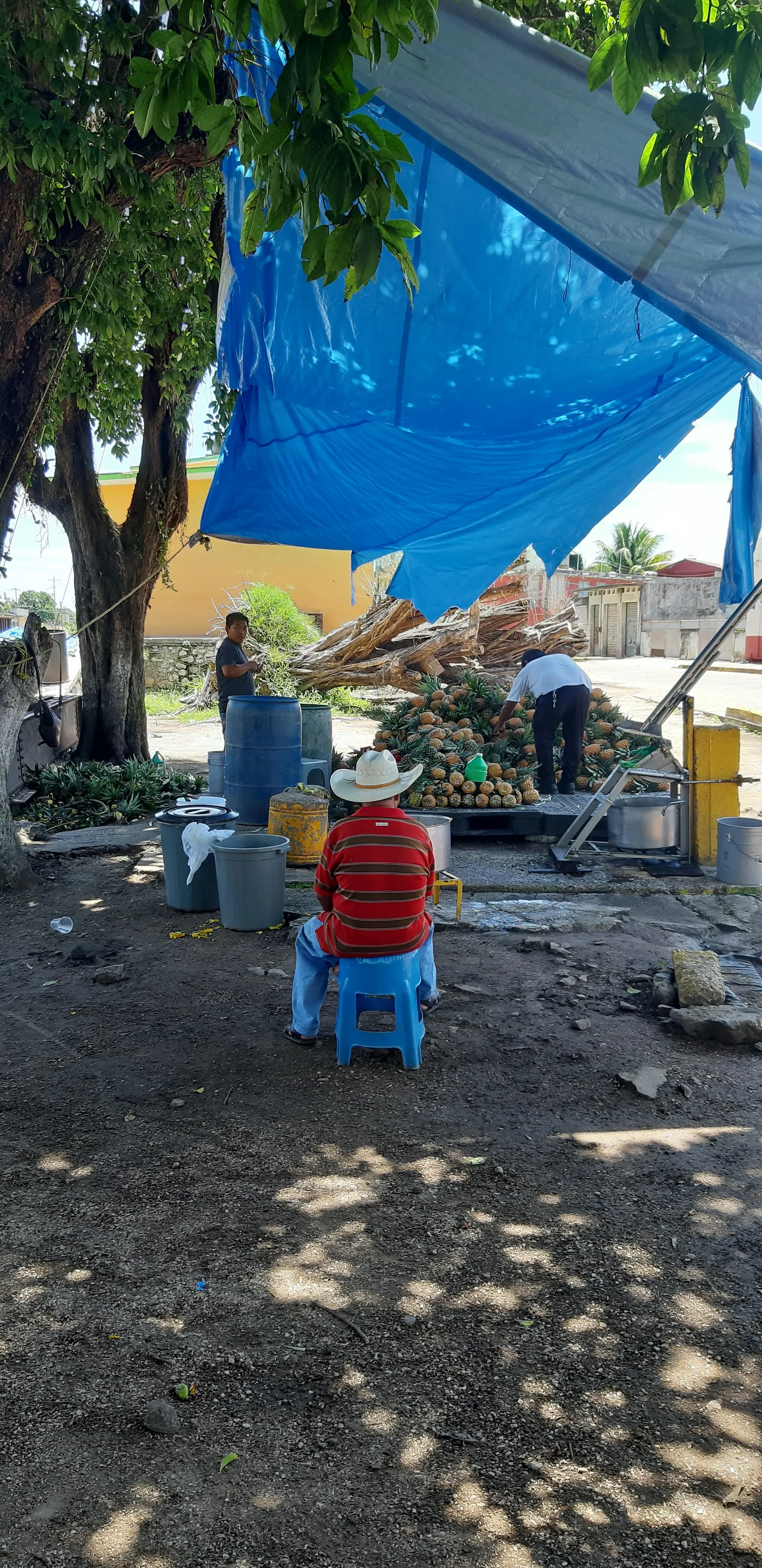 Jugueria Don Pancho image 6