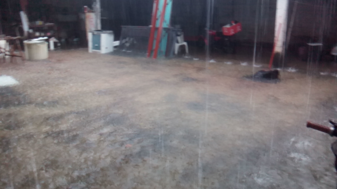 Pollos Jardin image 7