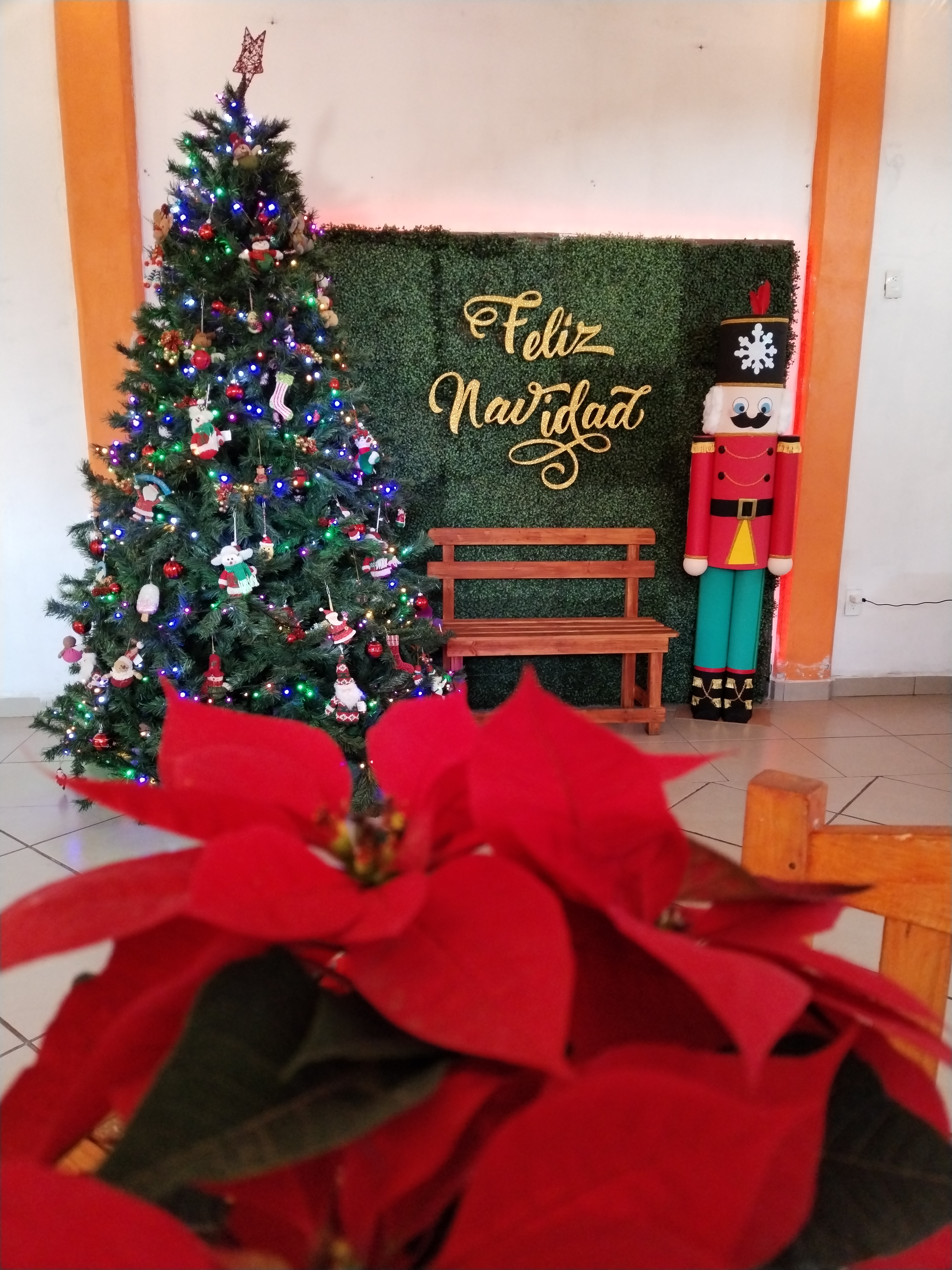 Restaurante mi rinconcito y pollos/ Alitas Mamalonas image 2