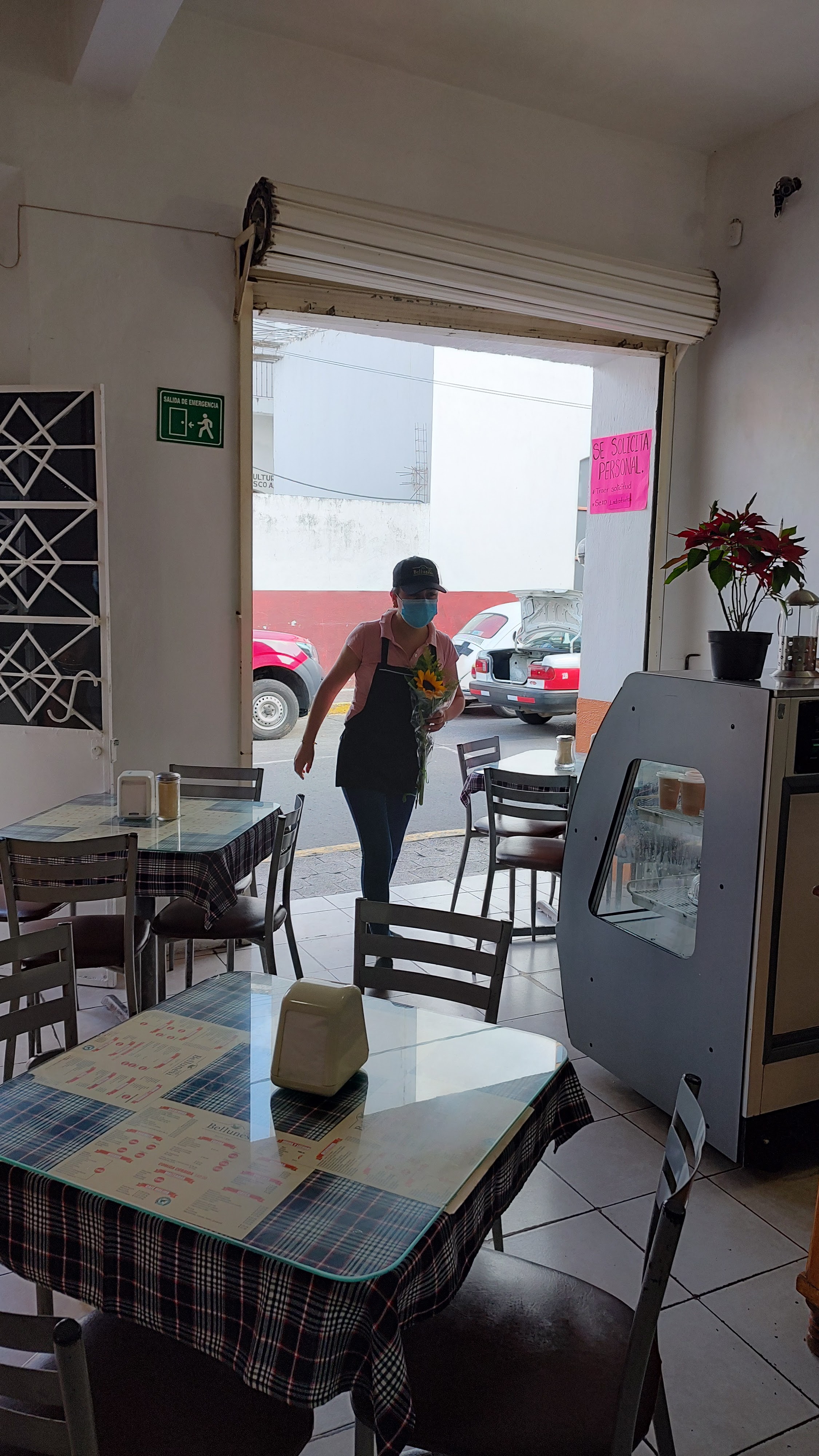 Café Bellunesi image 3