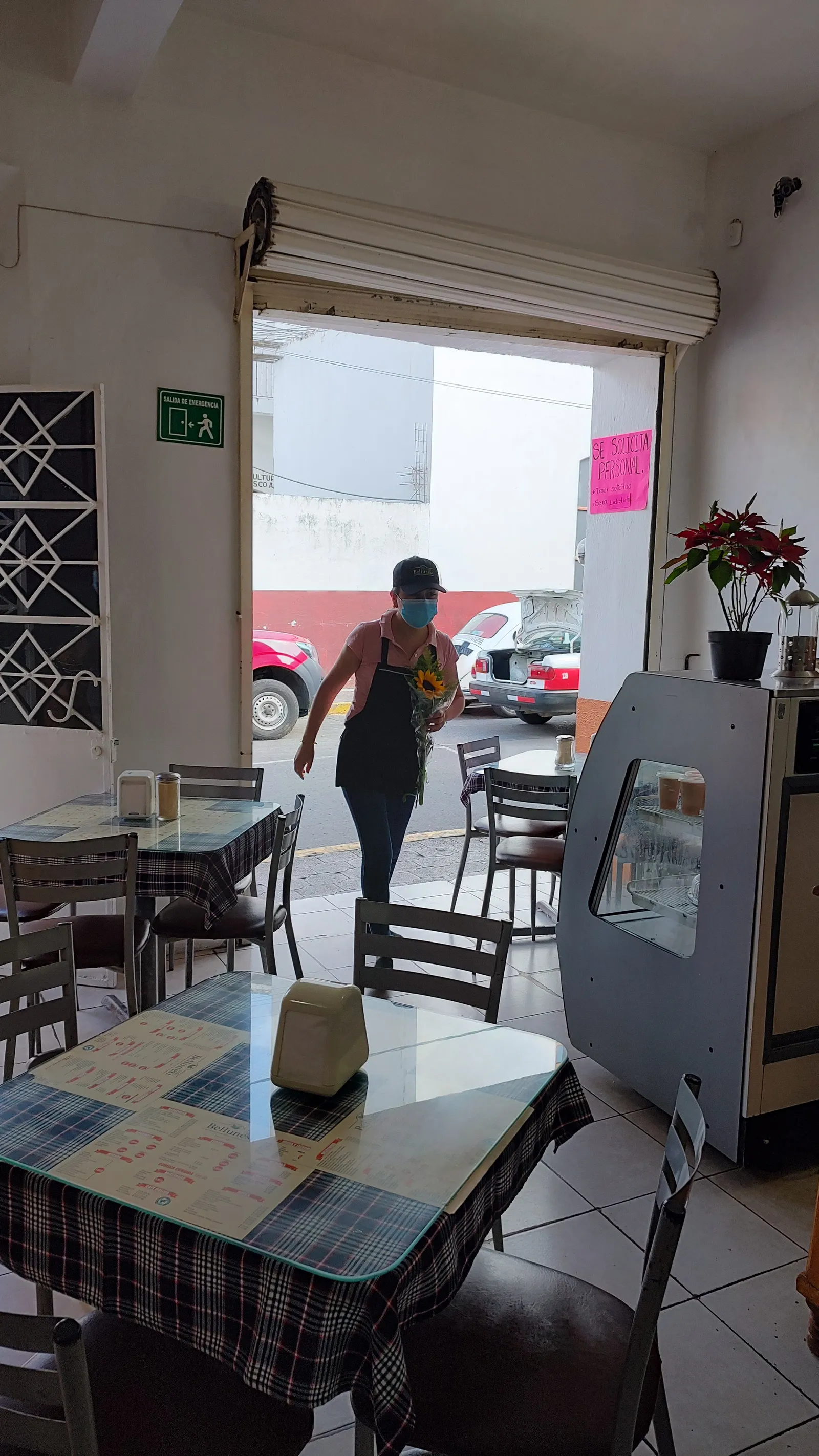Café Bellunesi image 3