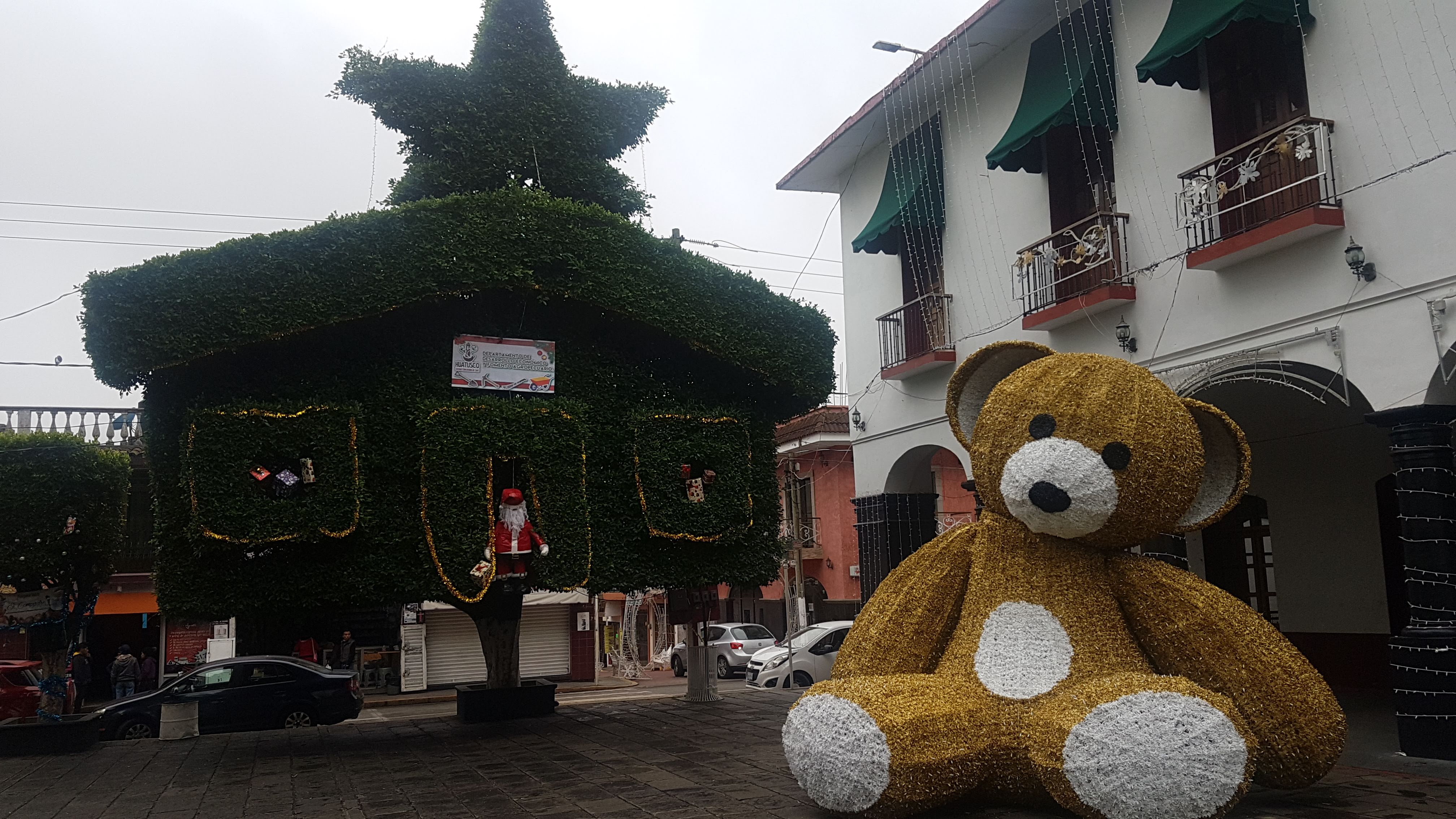 Café Bellunesi image 5