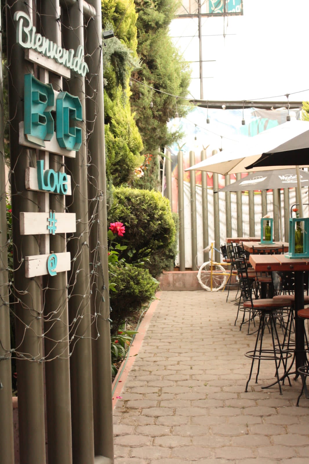 Bendito Bistró Mx image 6