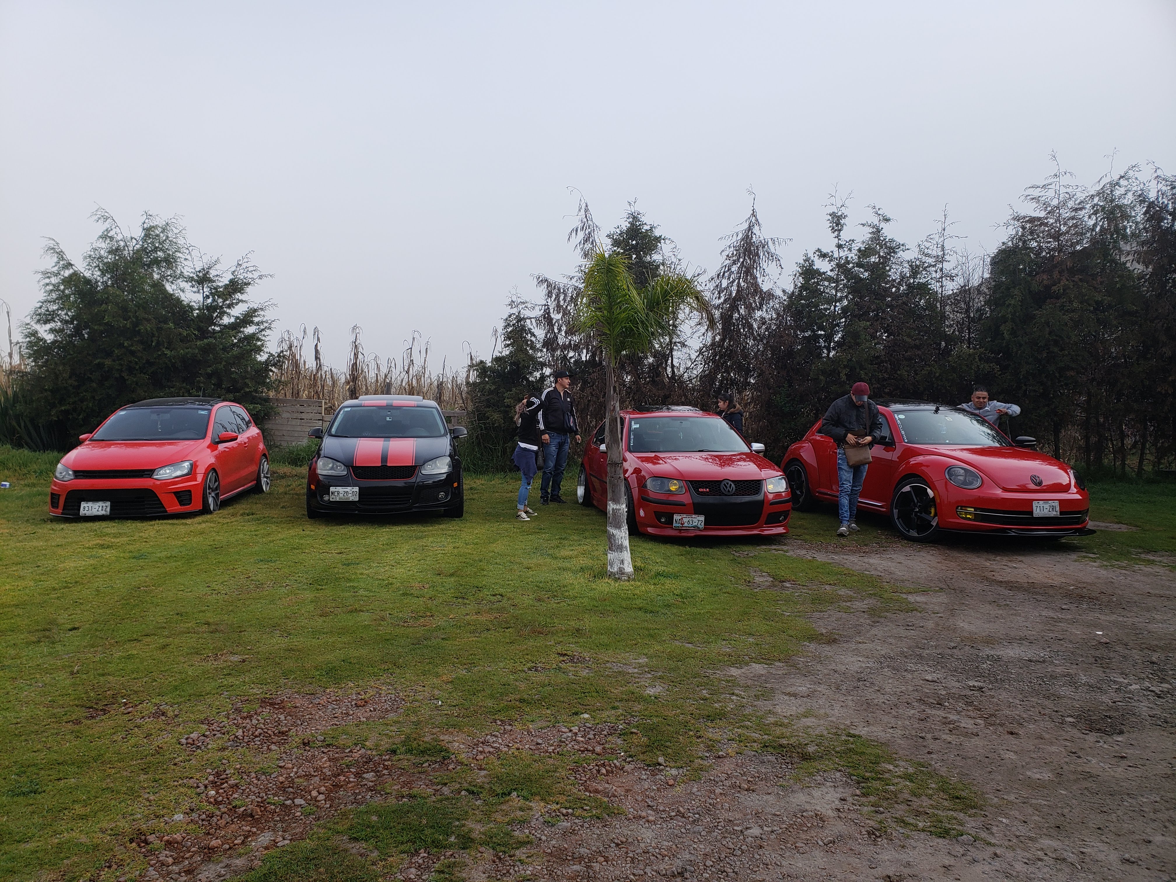 Barbacoa "La Excelencia" image 10