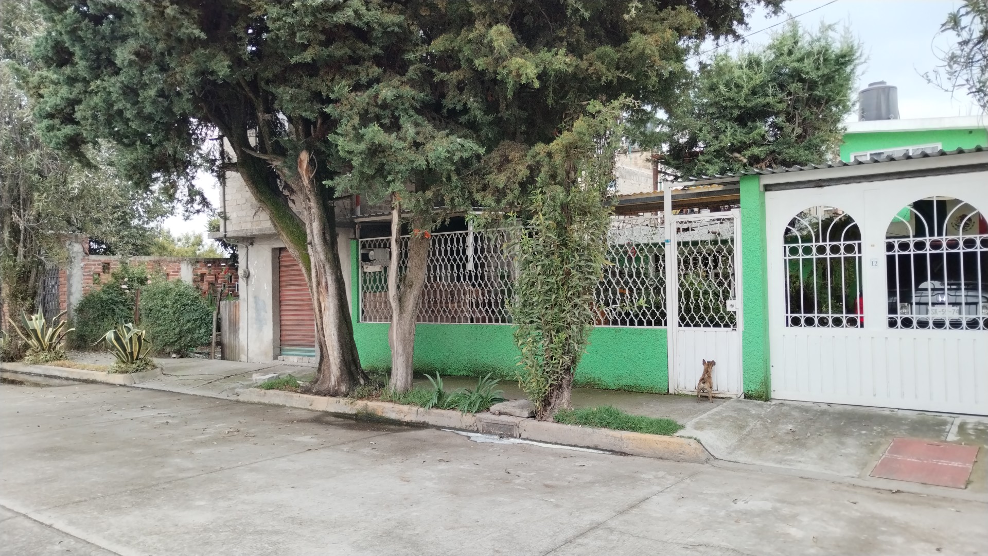 Little Caesars Pizza image 5