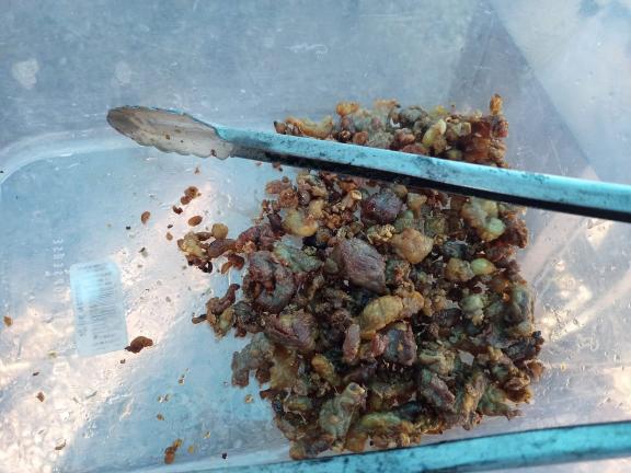 Cecina de yecapixtla Chilapa image 3