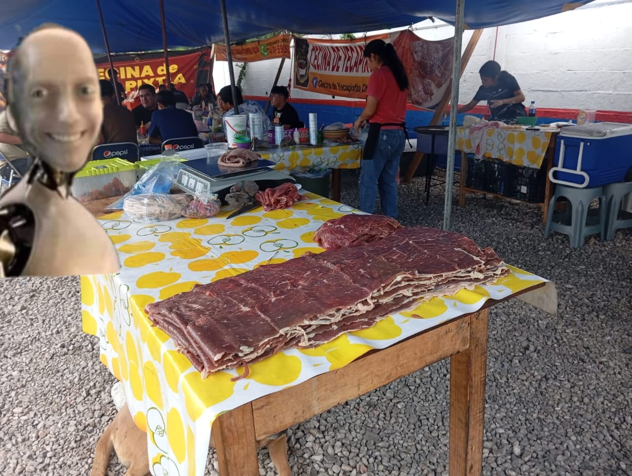 Cecina de yecapixtla Chilapa image 8