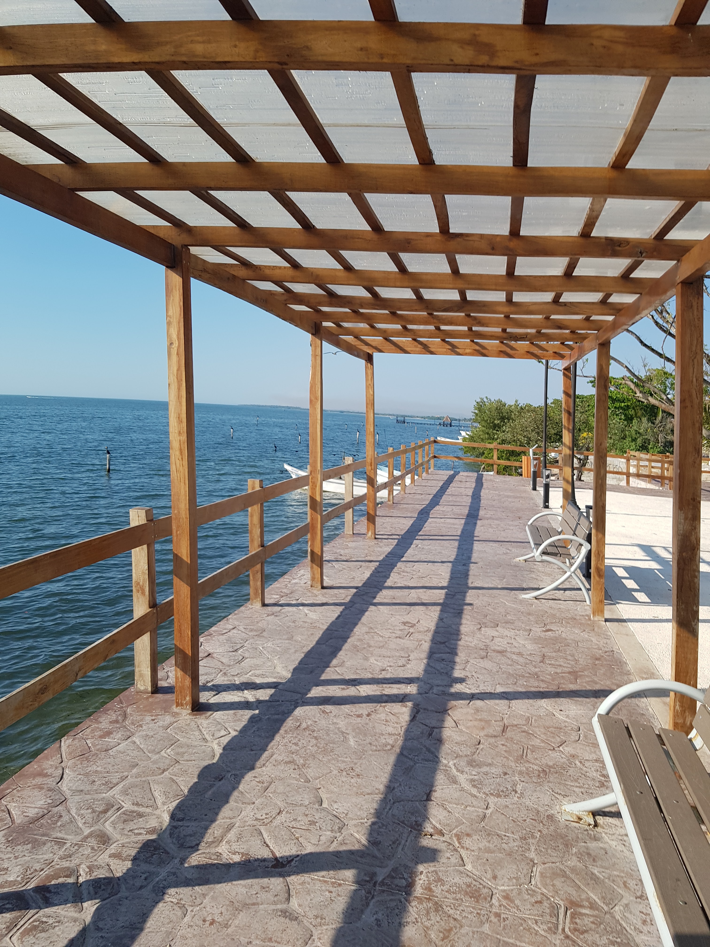 Taquerias Cheque's image 9