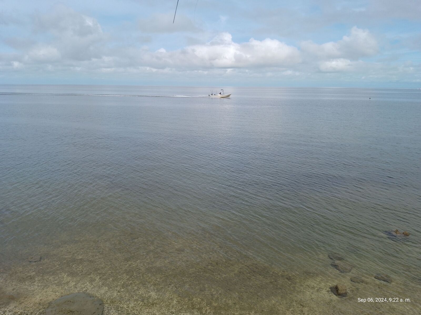 La PALAPA image 7