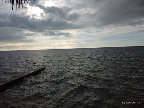 La PALAPA image 8