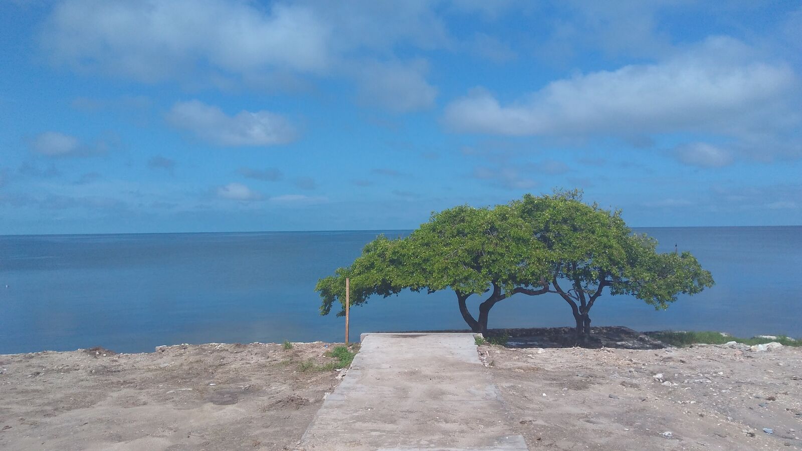 La PALAPA image 9