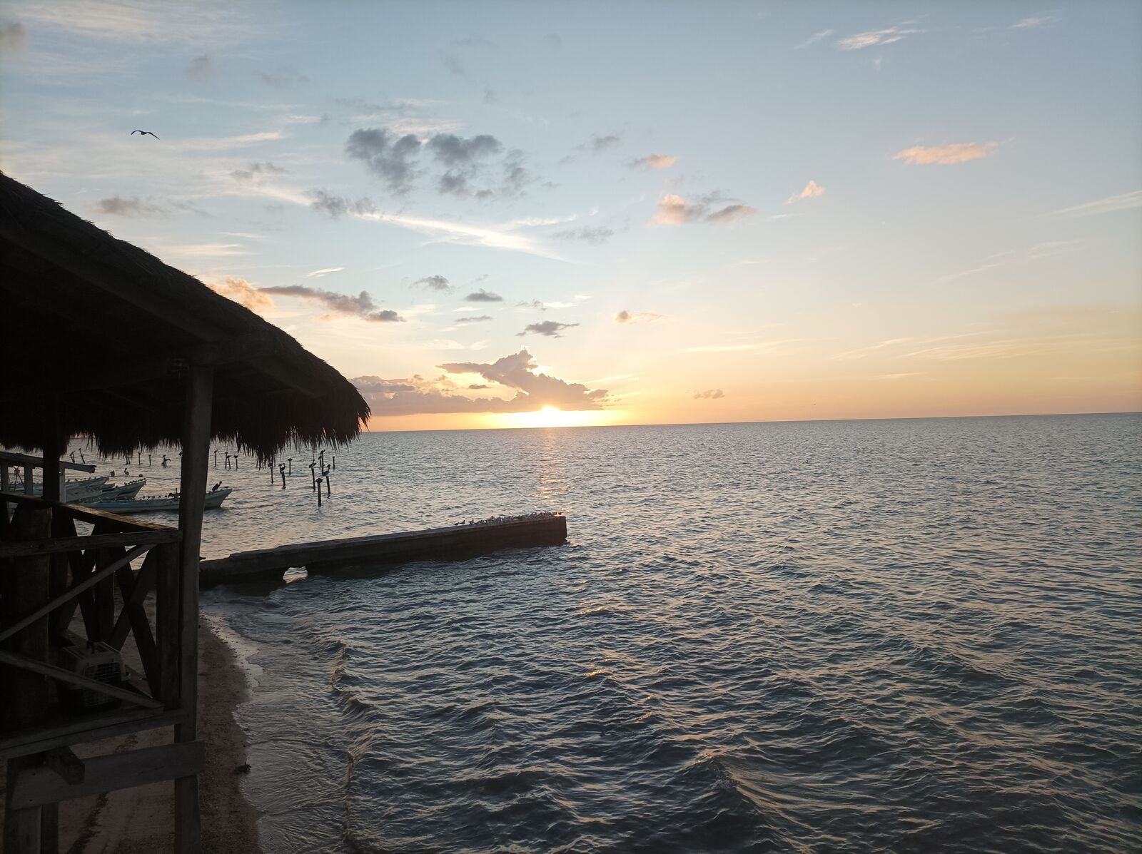 La PALAPA image 10