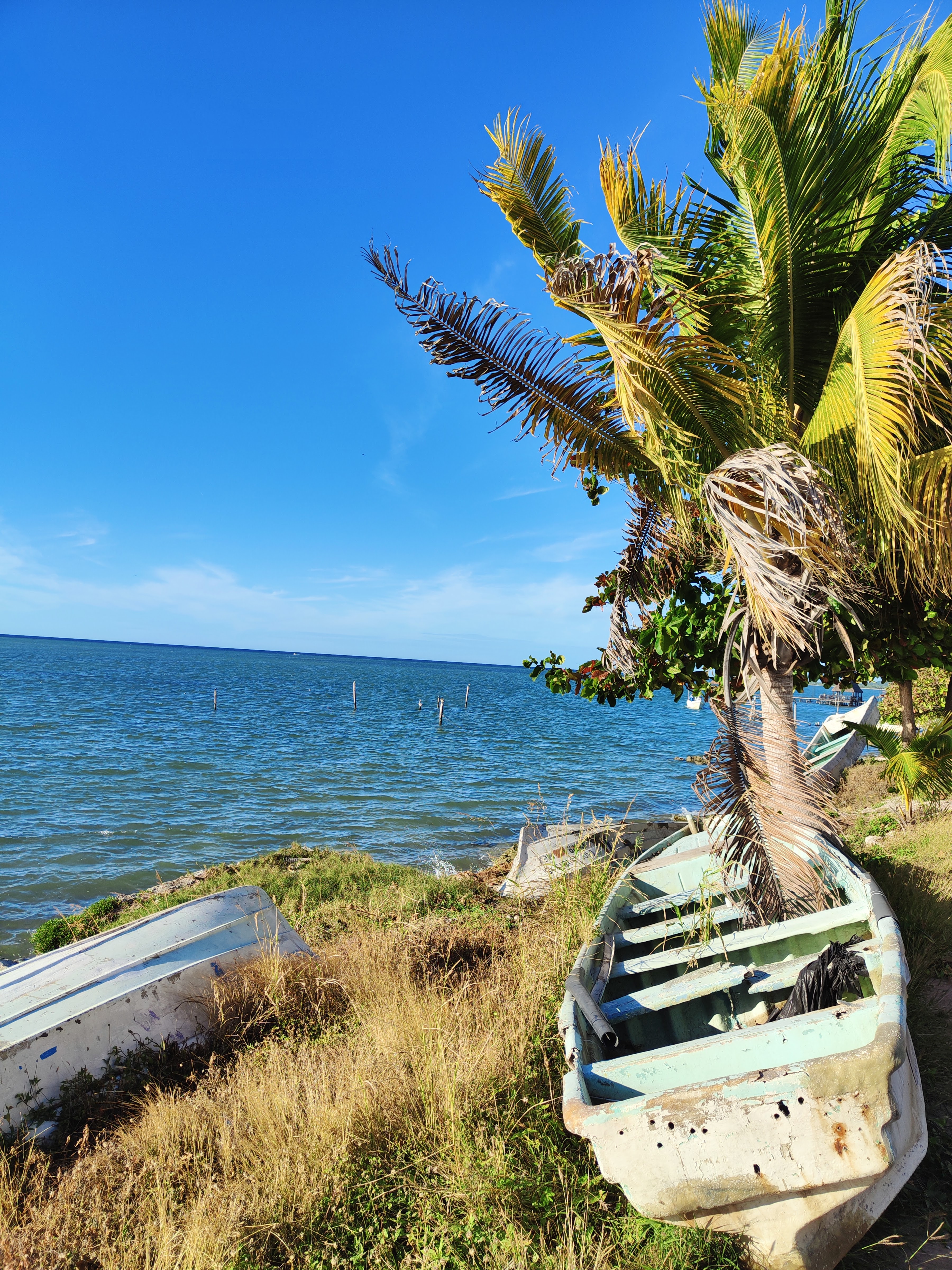 Restaurante Los Cangrejos King image 3