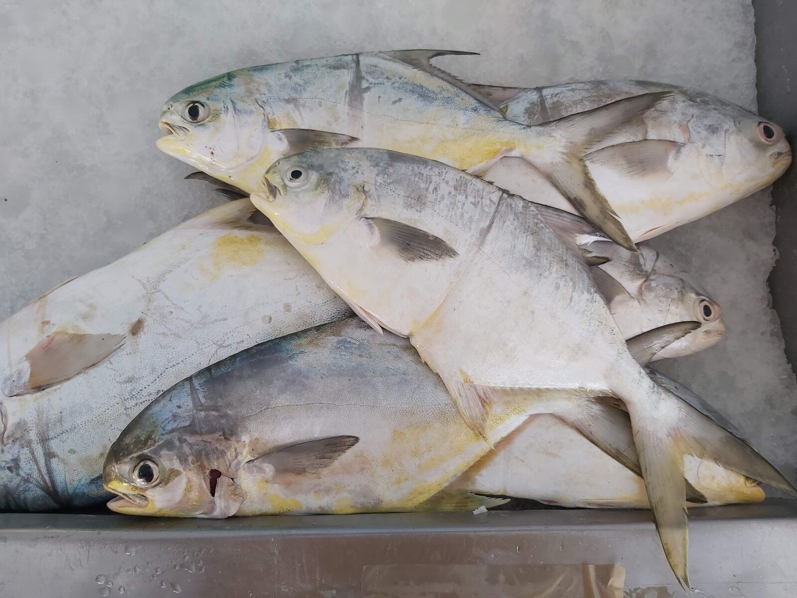 Pescadería El Siervo image 1