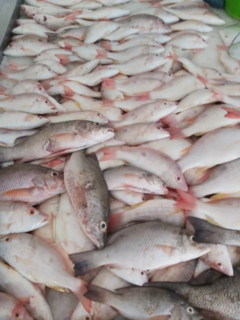 Pescadería El Siervo image 6