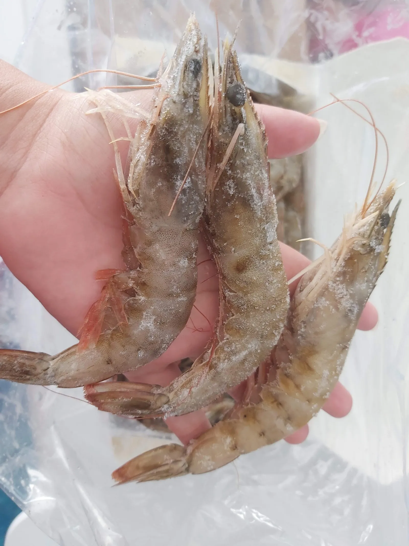 Pescadería El Siervo image 10