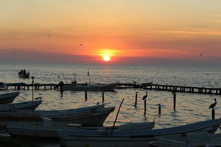 Cockteleria Bahía Beach image 10