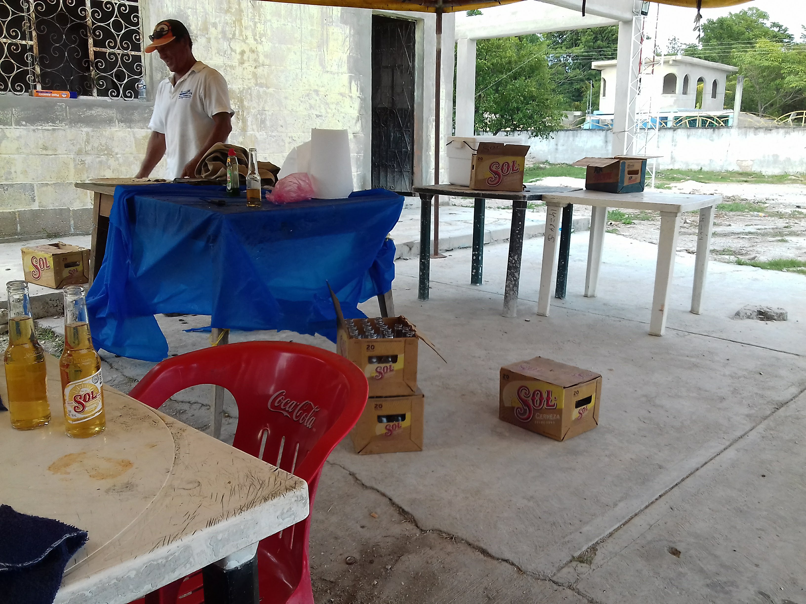 pollos y costillas asadas image 3