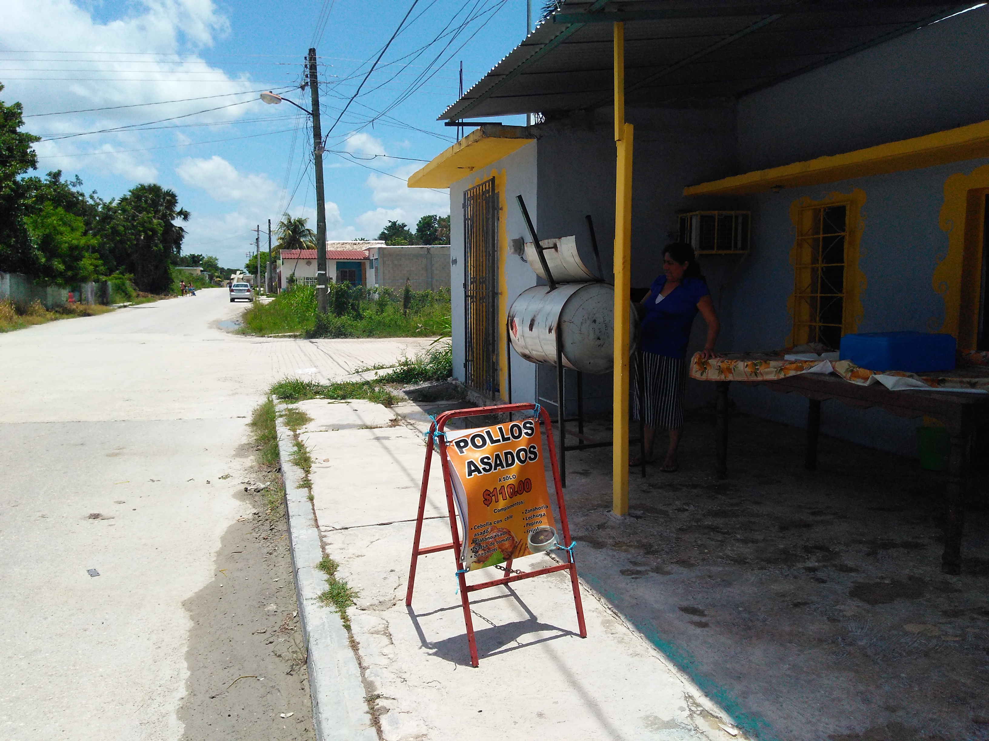 pollos y costillas asadas image 9