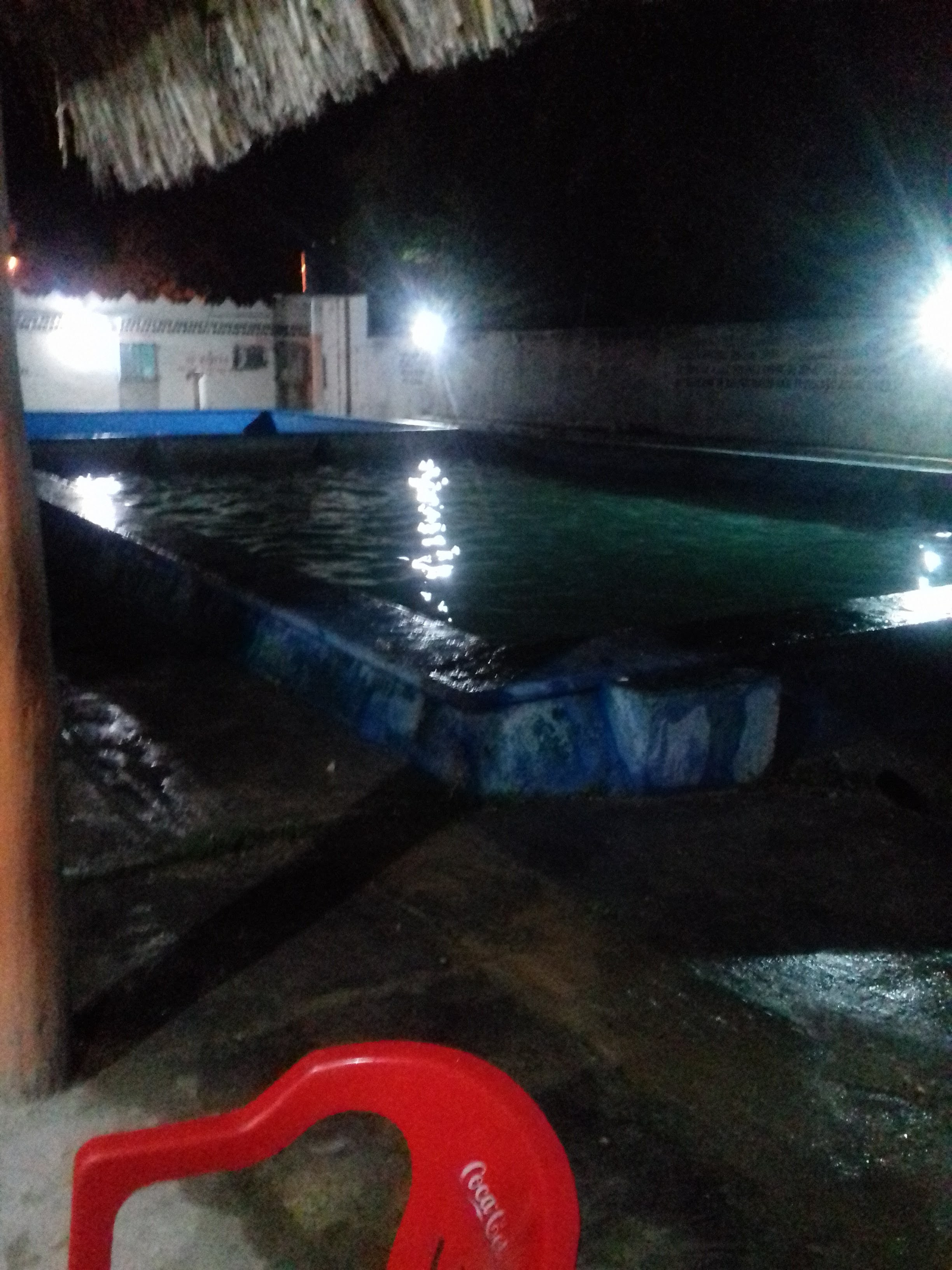 pollos y costillas asadas image 10