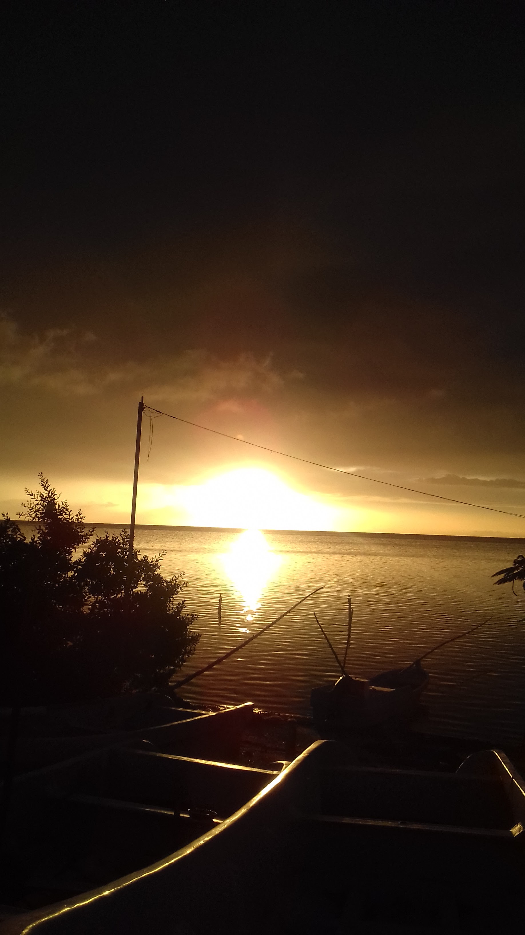 Pescados Y Marisco El 14 image 3