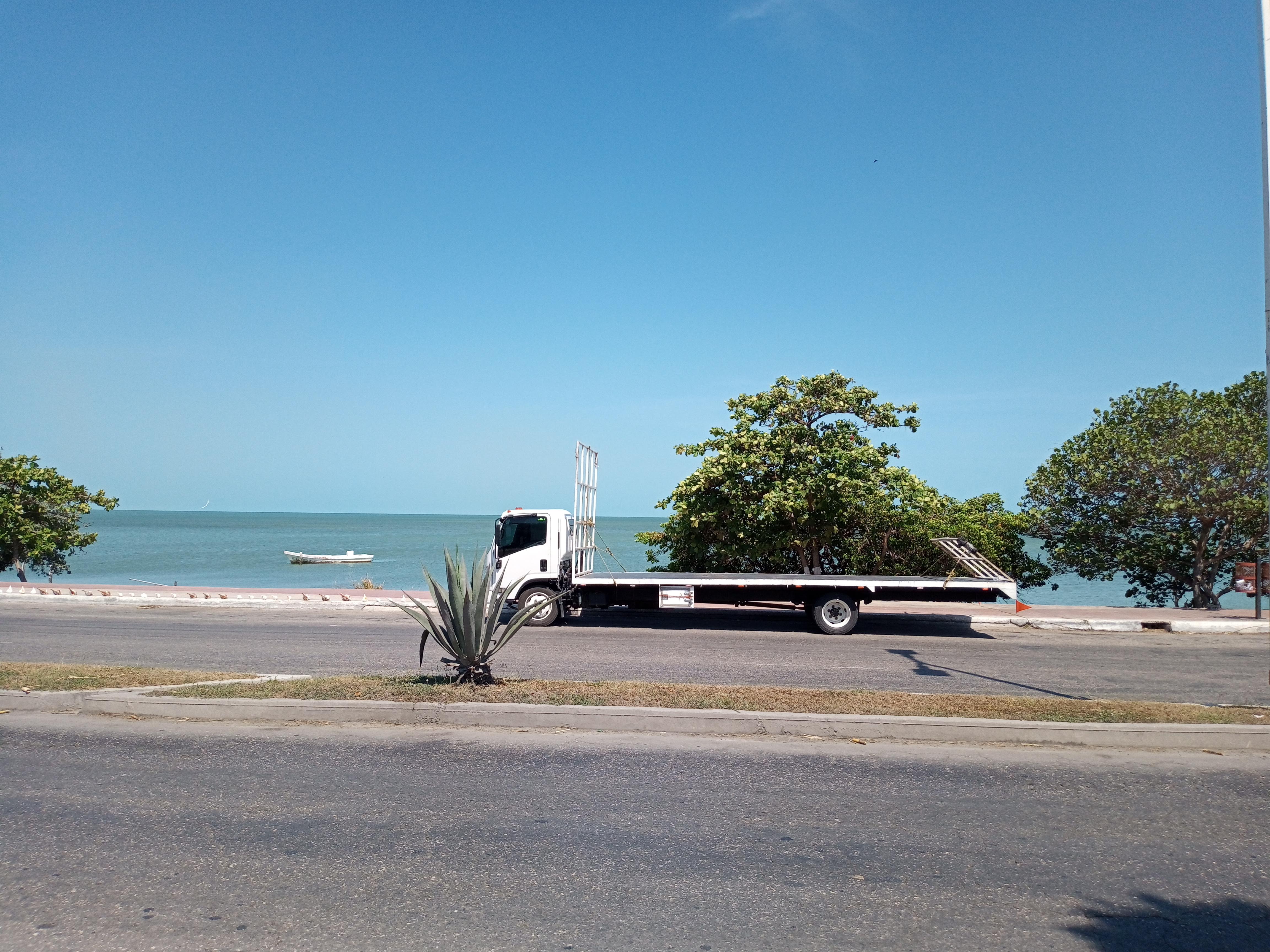 Pizzeria Rain Bow image 5