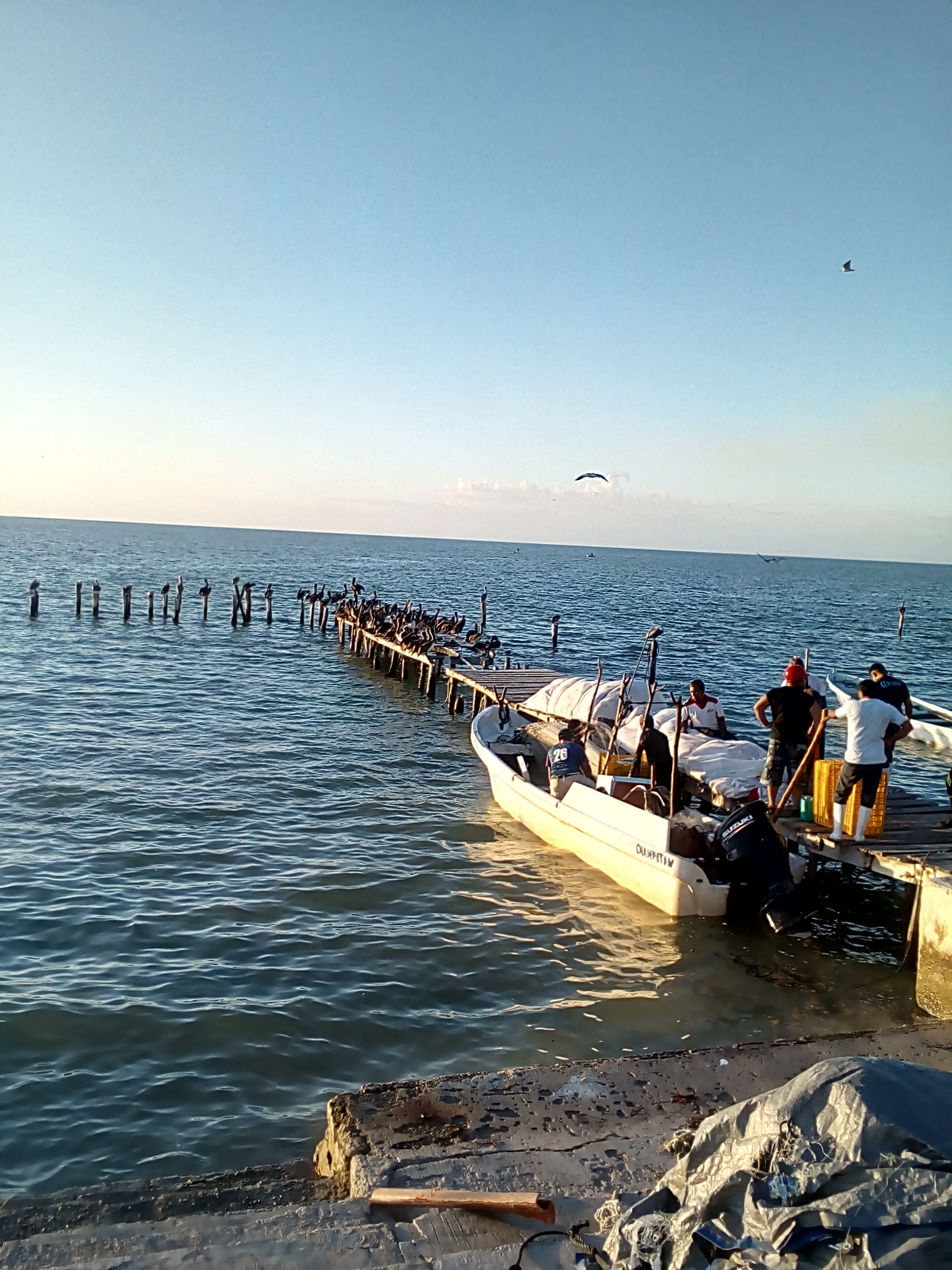 Pizzeria Rain Bow image 6