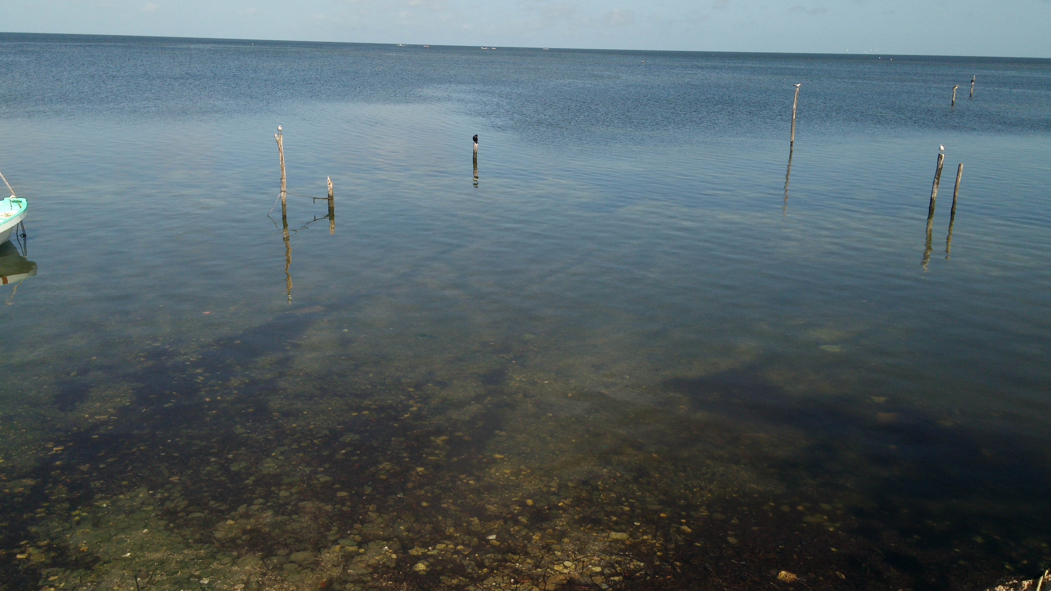 Pizzeria Rain Bow image 7