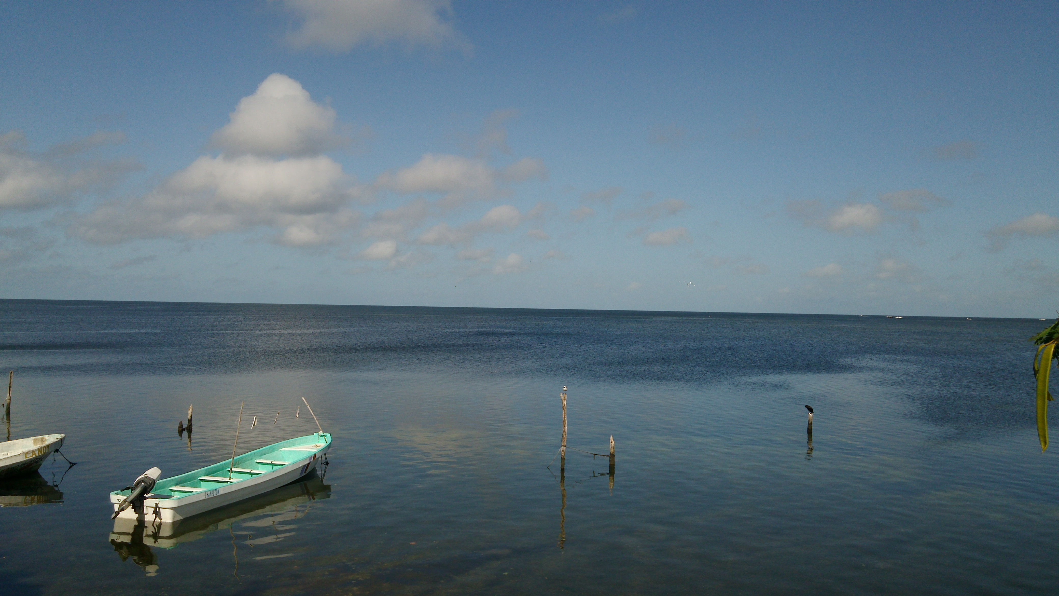 Pizzeria Rain Bow image 8