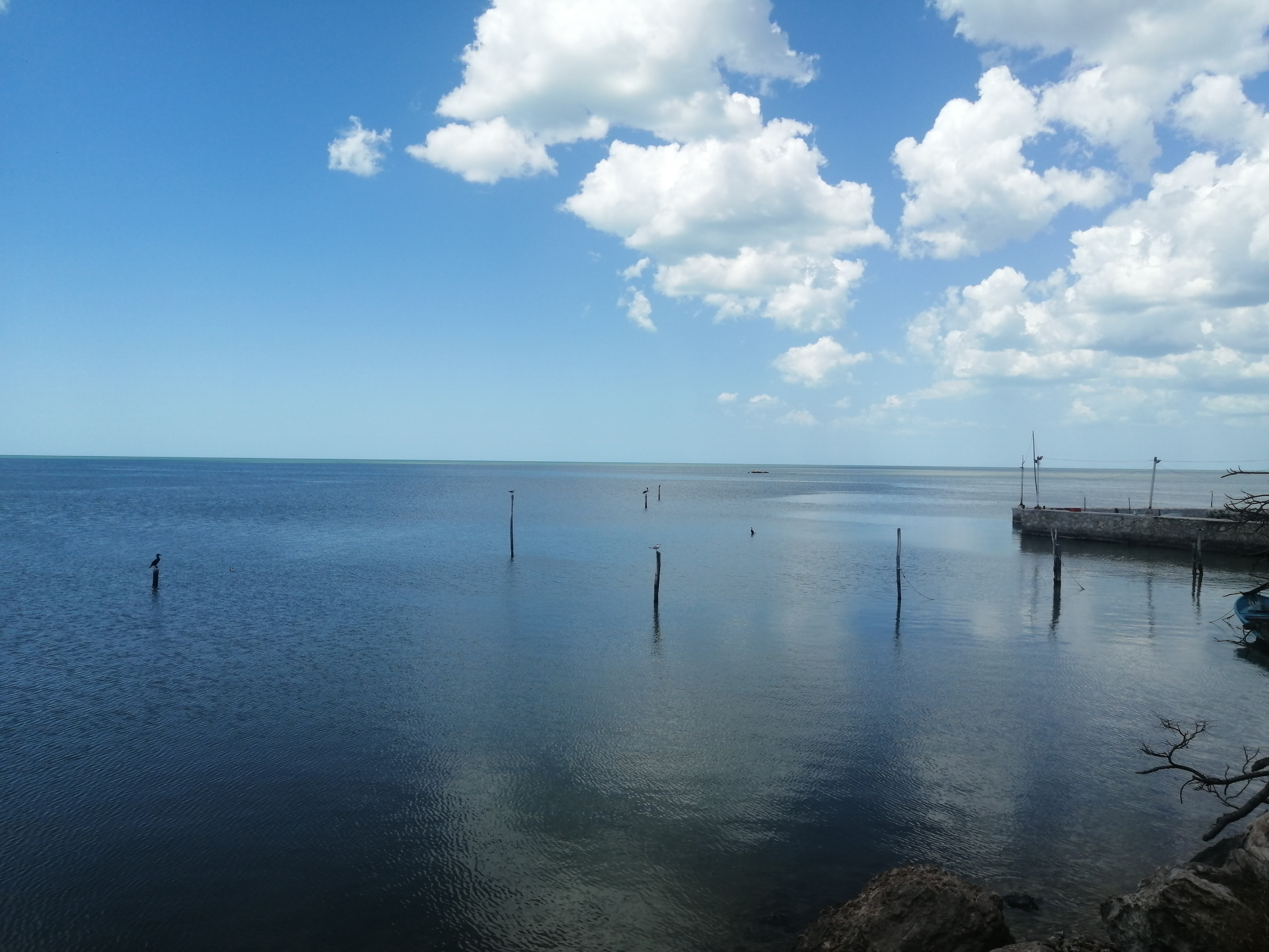 Pizzeria Rain Bow image 9