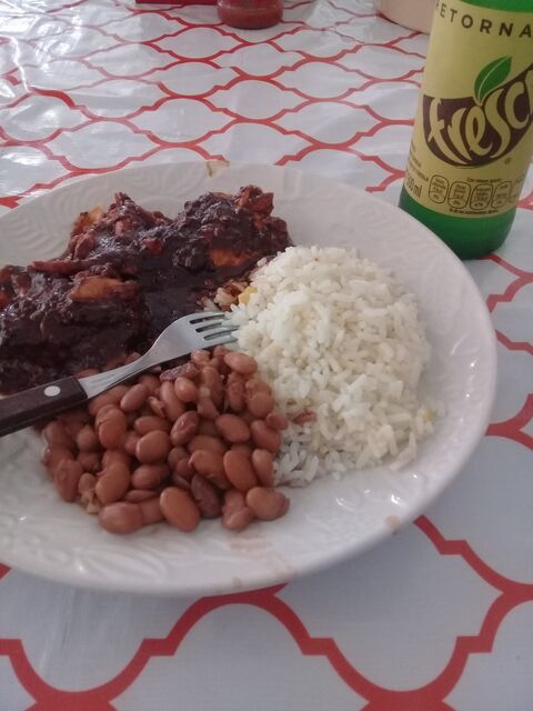 Rico pollo image 1
