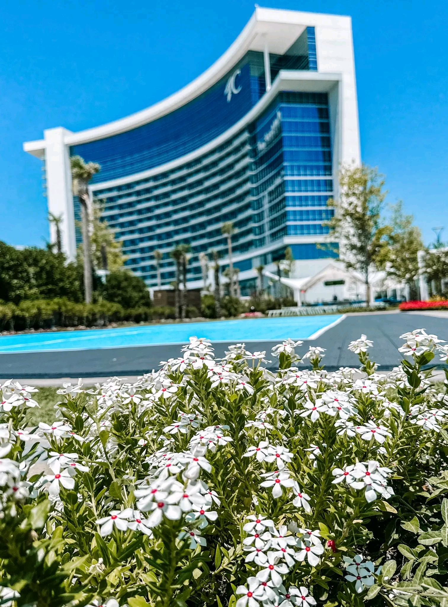 Estanquillo y fonda doña luz servicio a domicilio y comer en el restaurante image 4