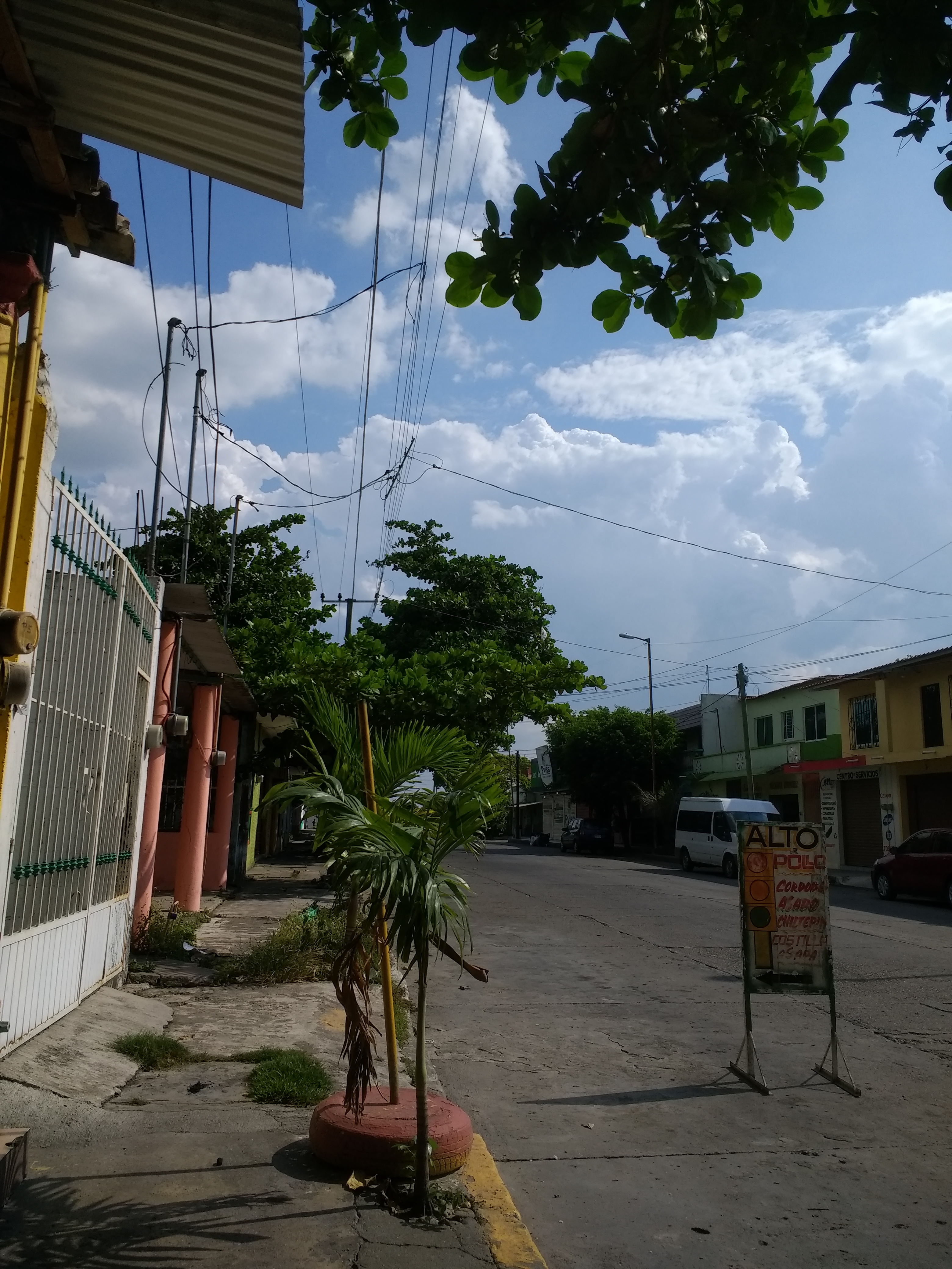 El Rey Del Pollo image 2