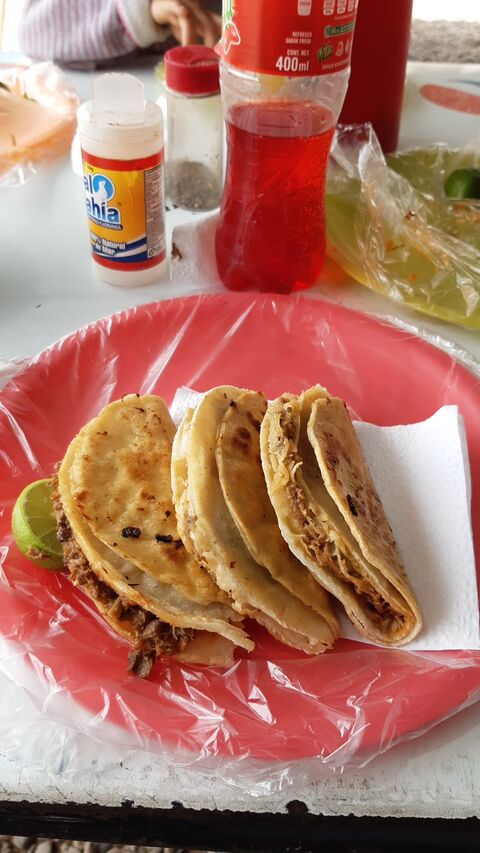 Tacos a la maya los del compa juanito image 4