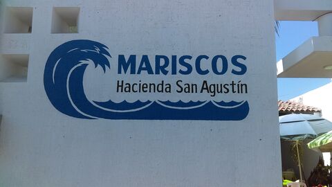 Hacienda San Agustin image 7