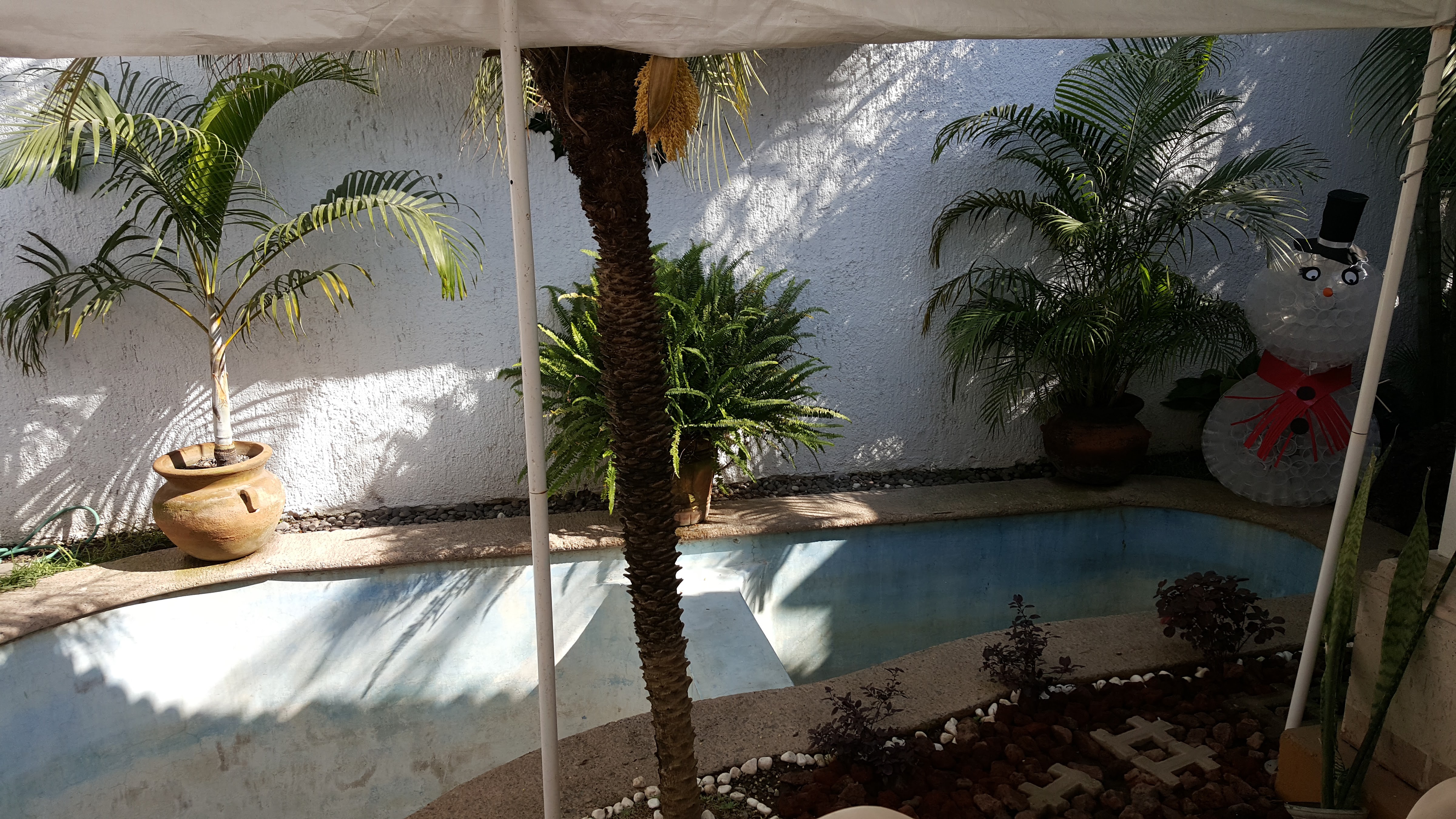 Hacienda San Agustin image 9