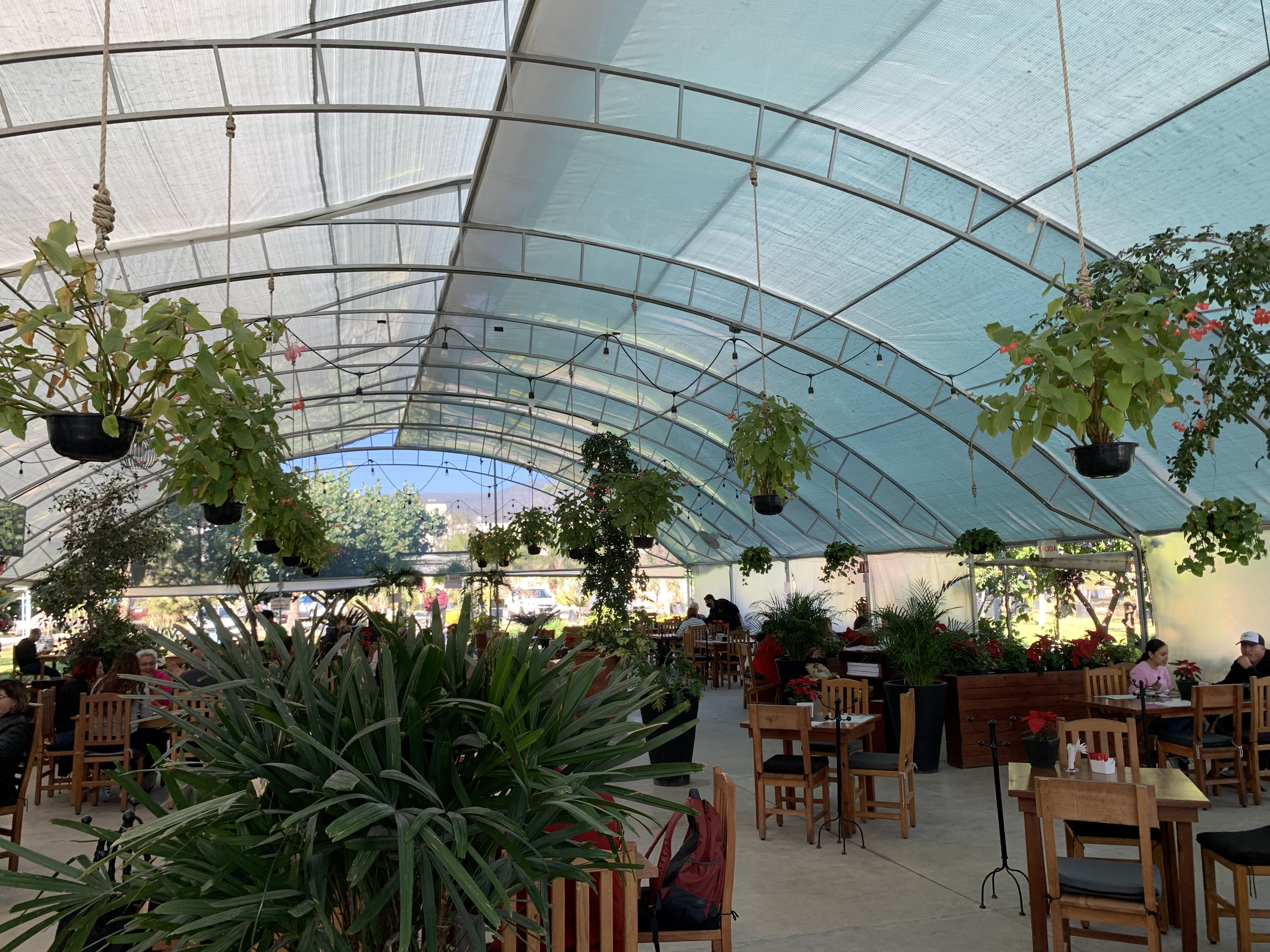 La Planteria Vivero Cafe Bosques image 1